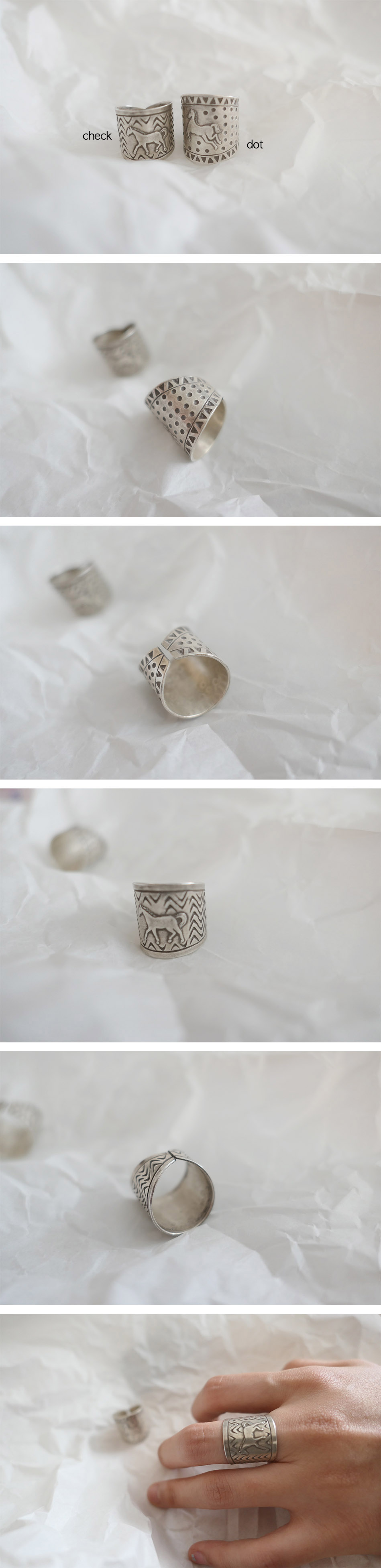 horse ring