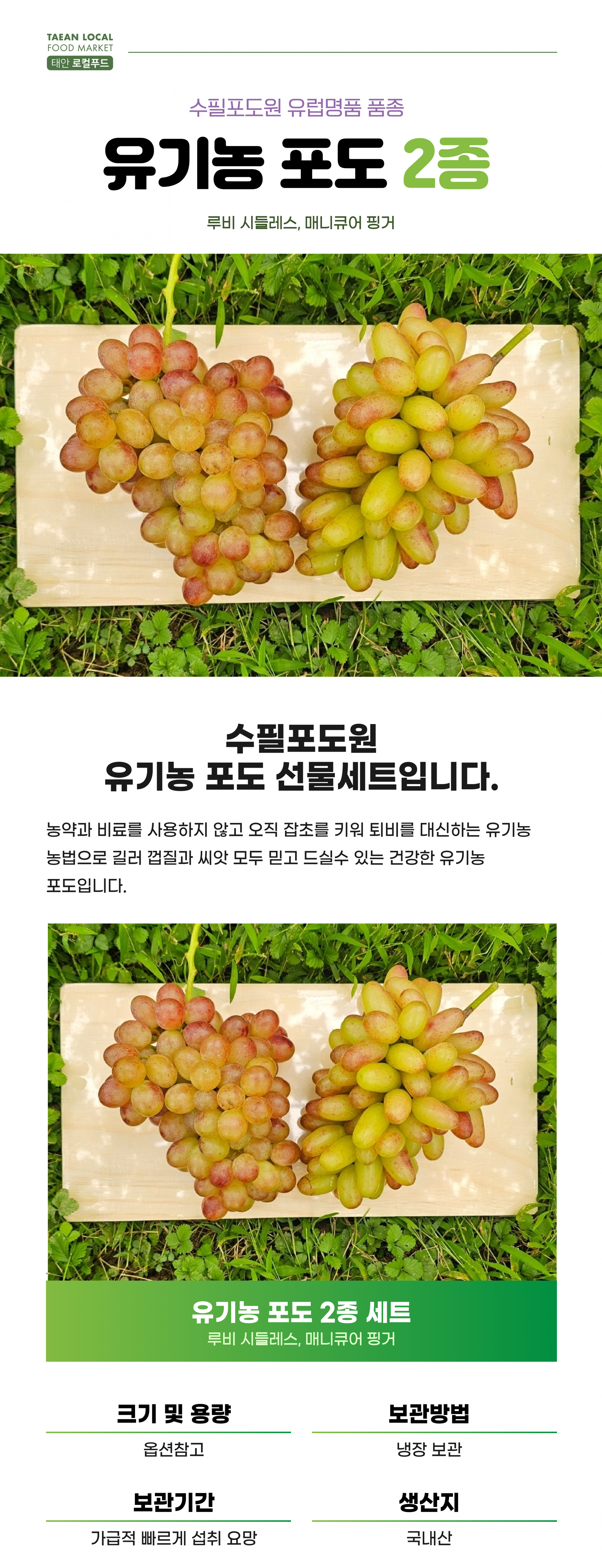 유럽종 유기농 포도 2종세트 (루비시들레스+매니큐어핑거)_수필포도원