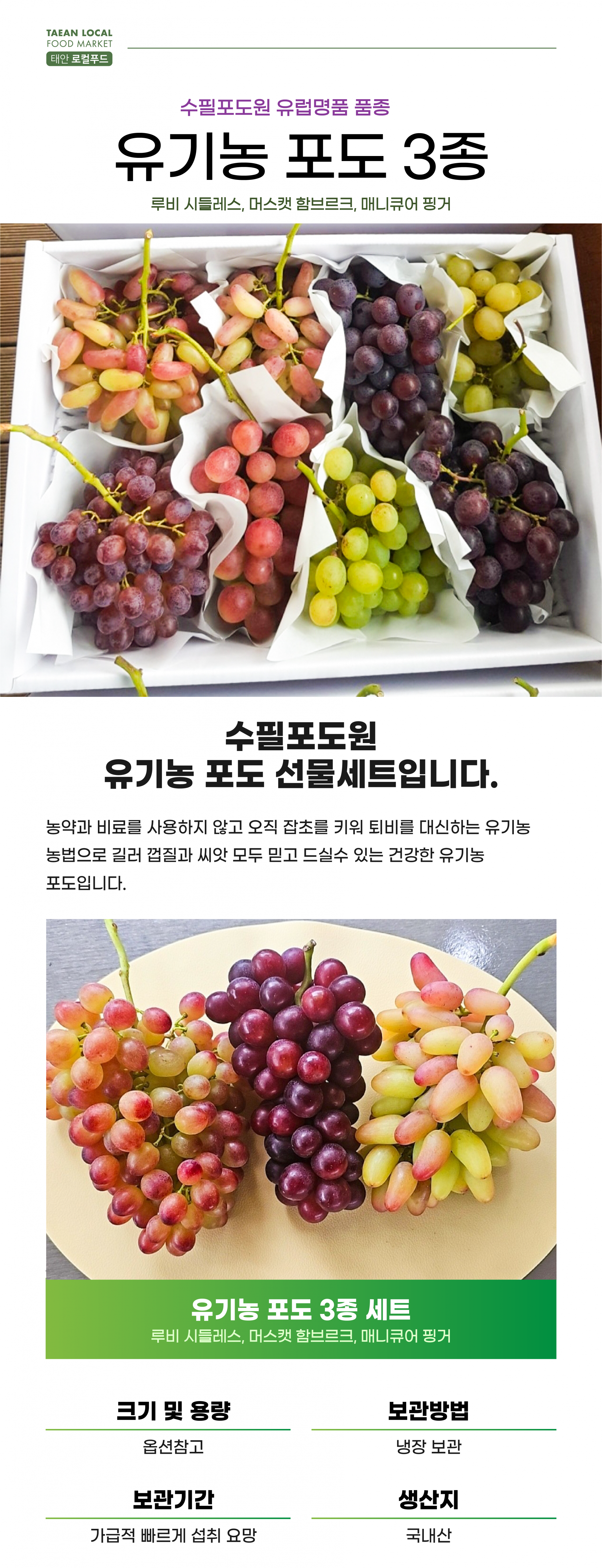 [따자마자 발송] 유럽종 유기농 포도 3종세트 (루비시들레스,머스캣함부르크,매니큐어핑거)_수필포도원