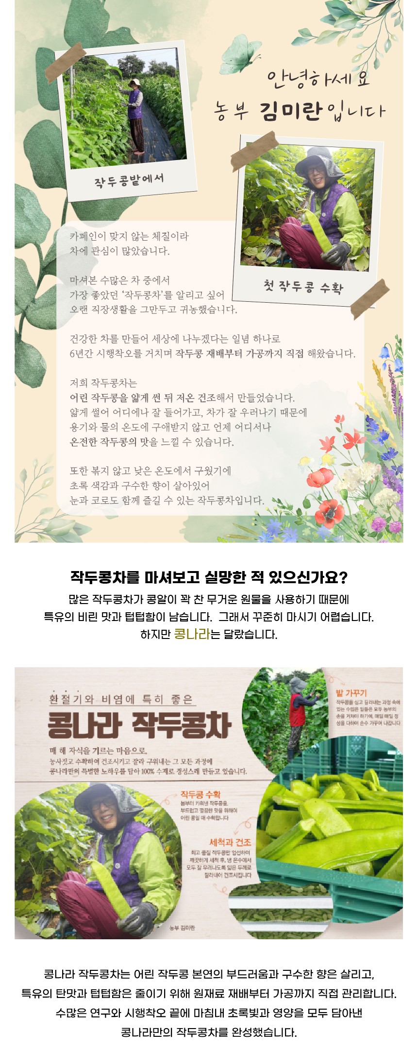 콩나라 국내산 어린꼬투리 작두콩차 티백