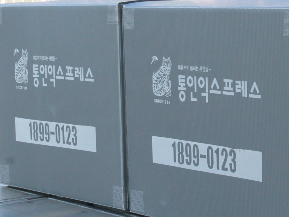 SE-8fbe97d6-2aa3-4207-9899-1ecbac44a05f.jpg