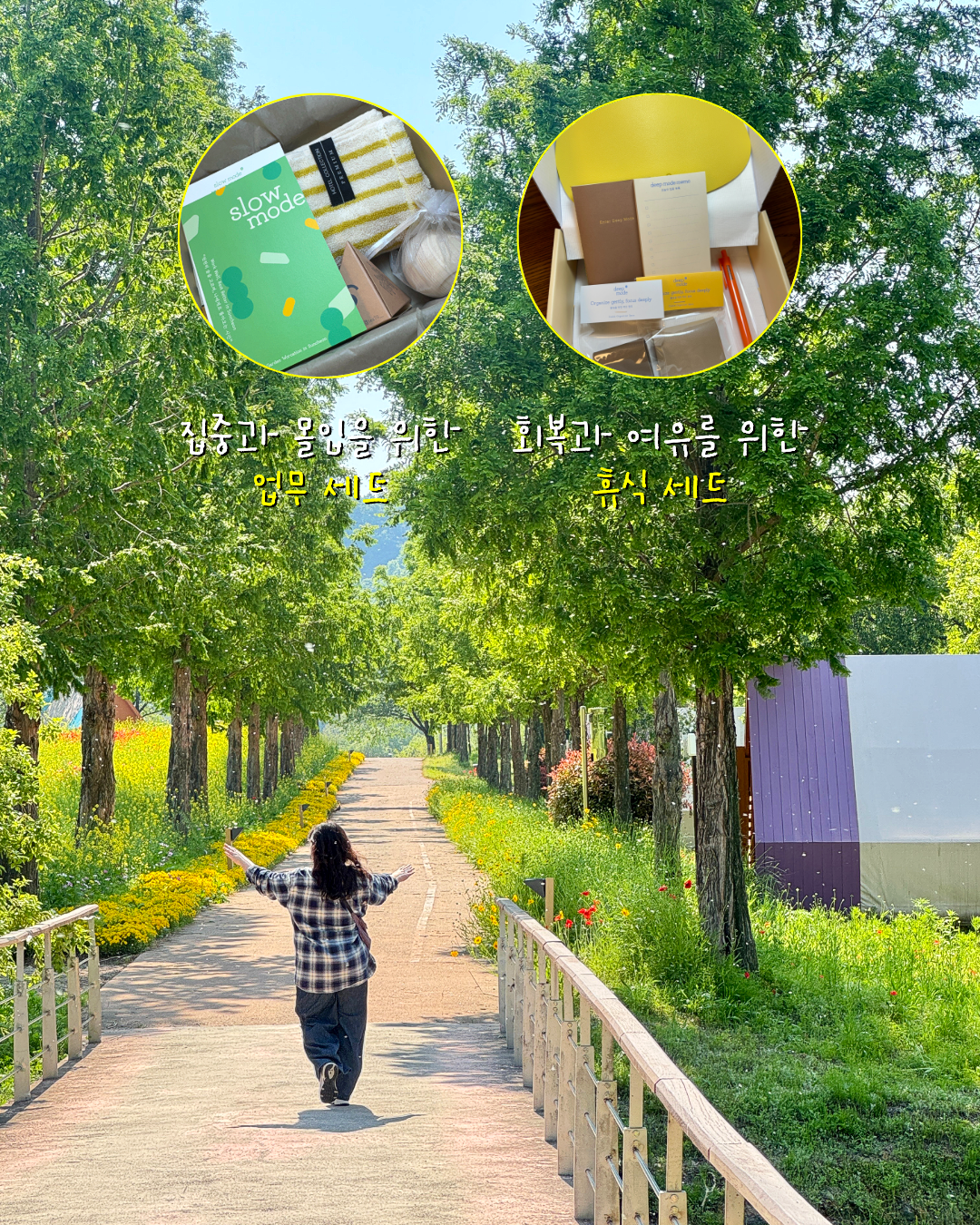 251f4f6f80258.png