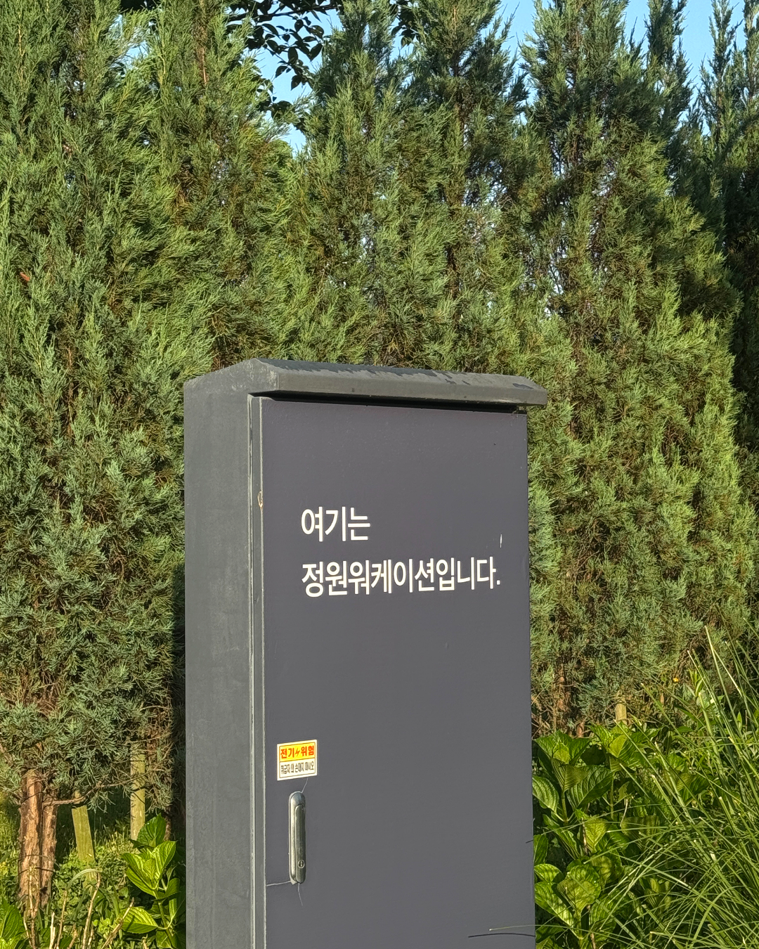 74f76b1dbee18.png