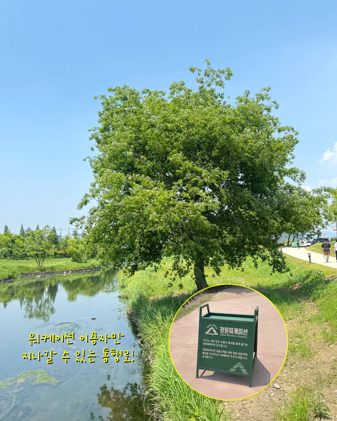 8c66f5585064e.png