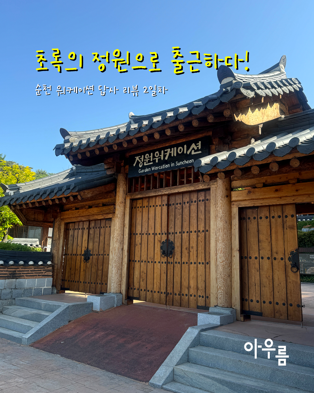 9d898753d082c.png