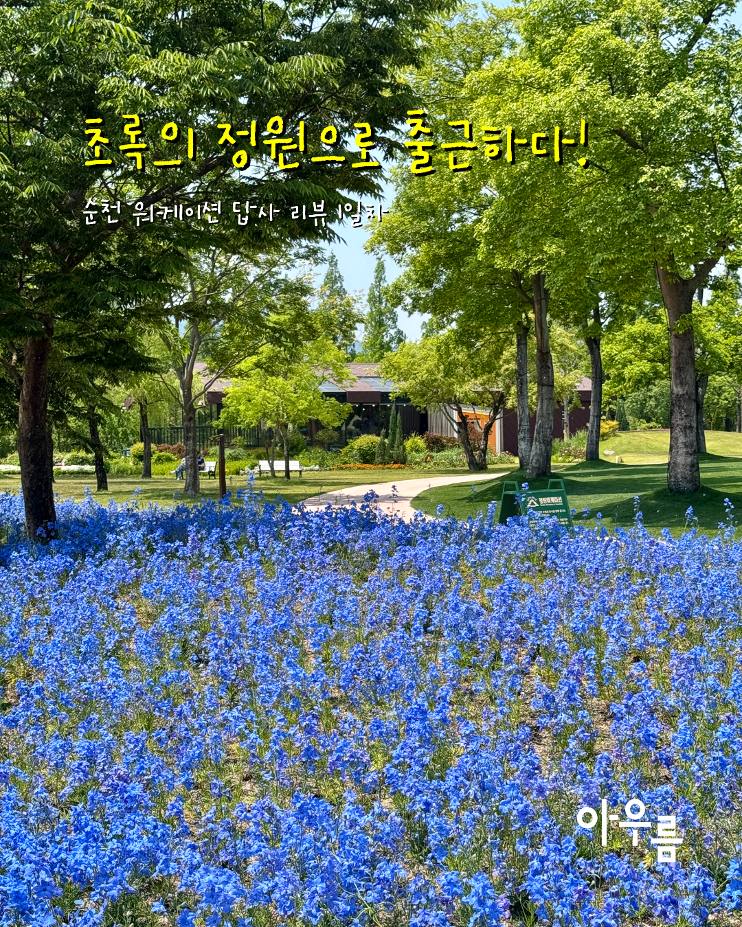 d4ed4f3002e92.png