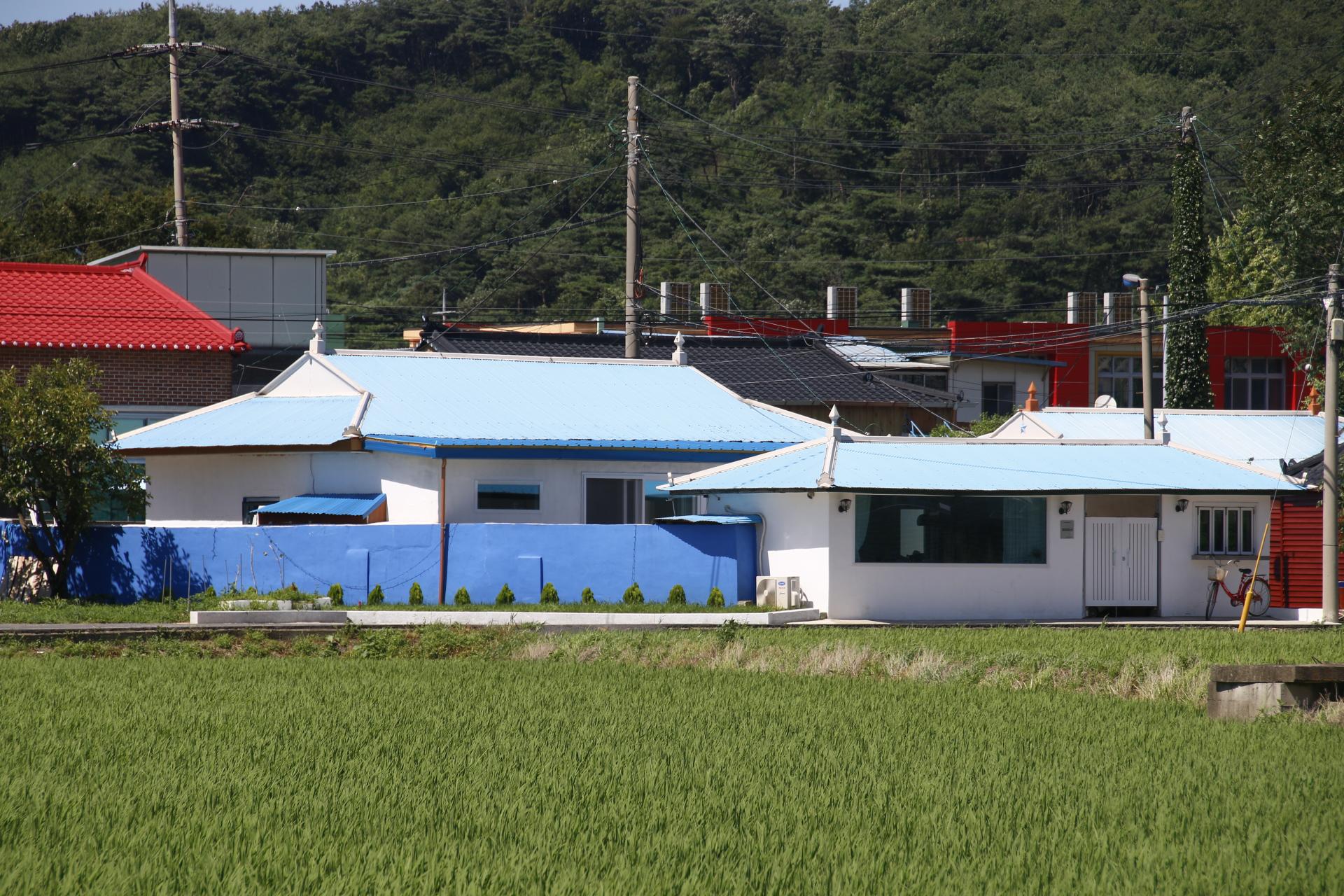 f0d0b6962987d.jpg