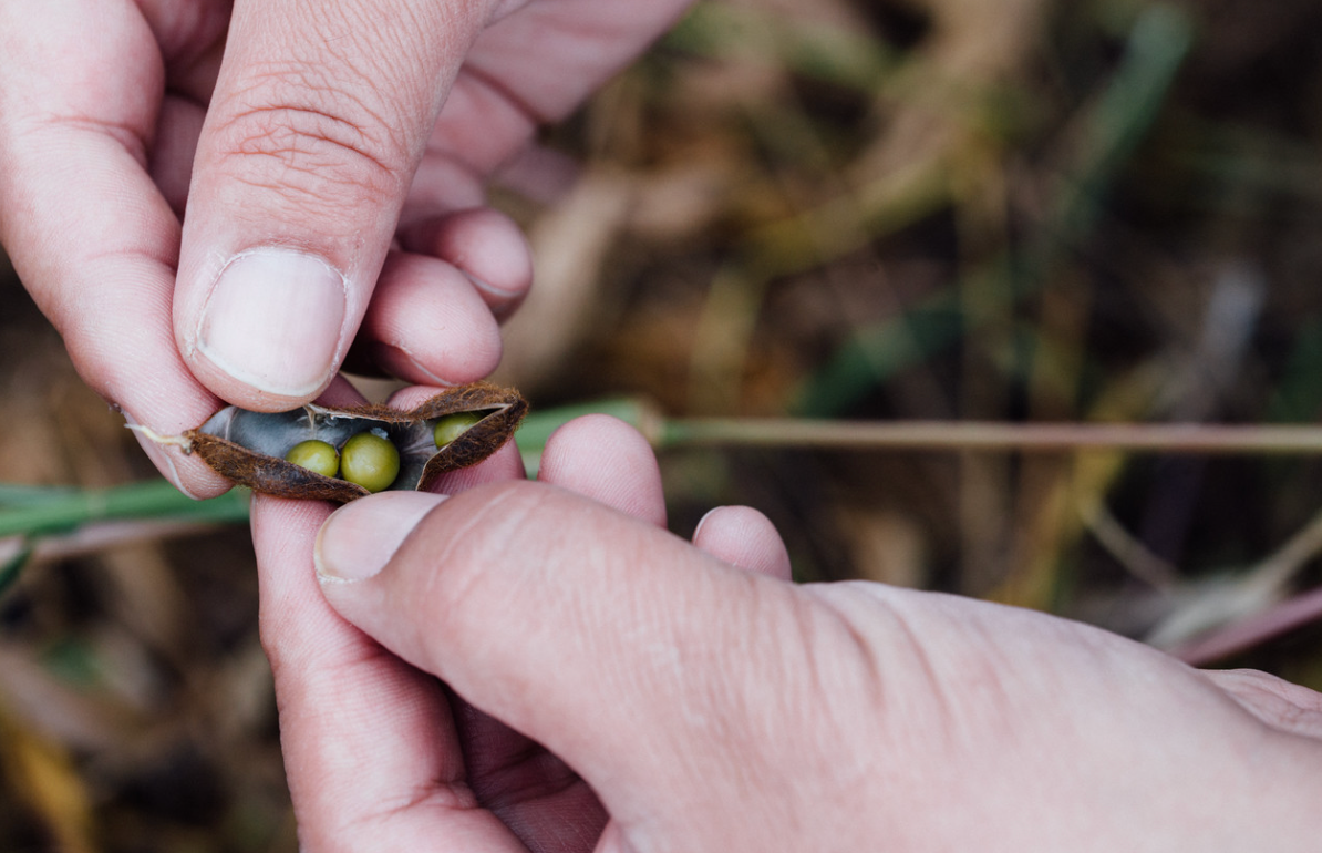 스크린샷 2024-01-15 오후 8.55.40.png