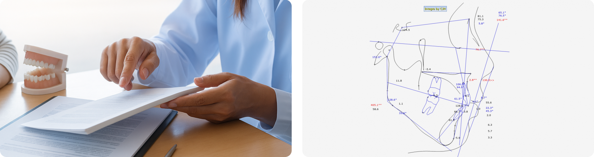 설계 및 인허가