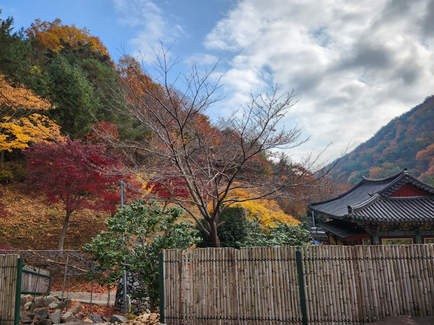 ef2f9372f6b33.jpg