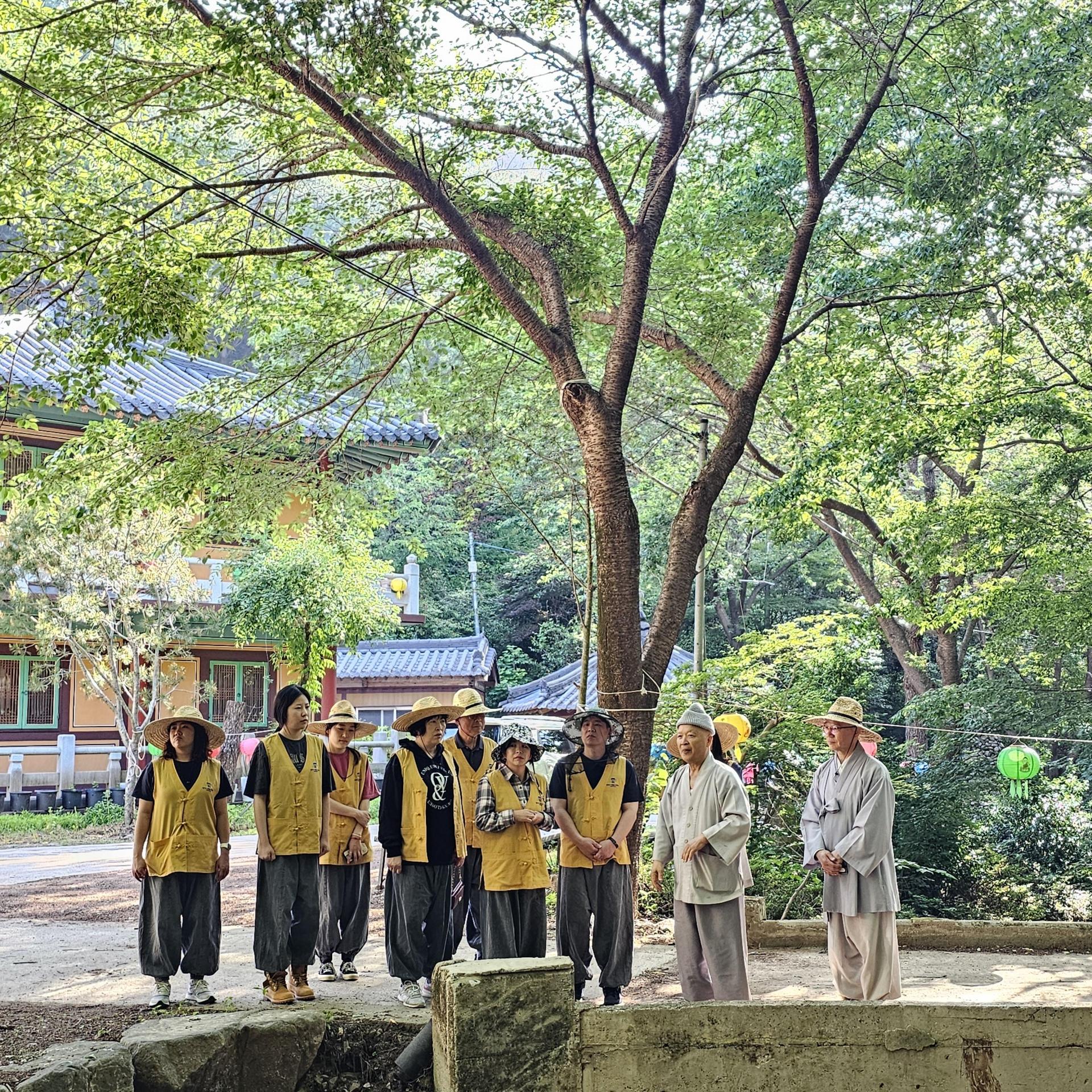 ff2318e100c40.jpg