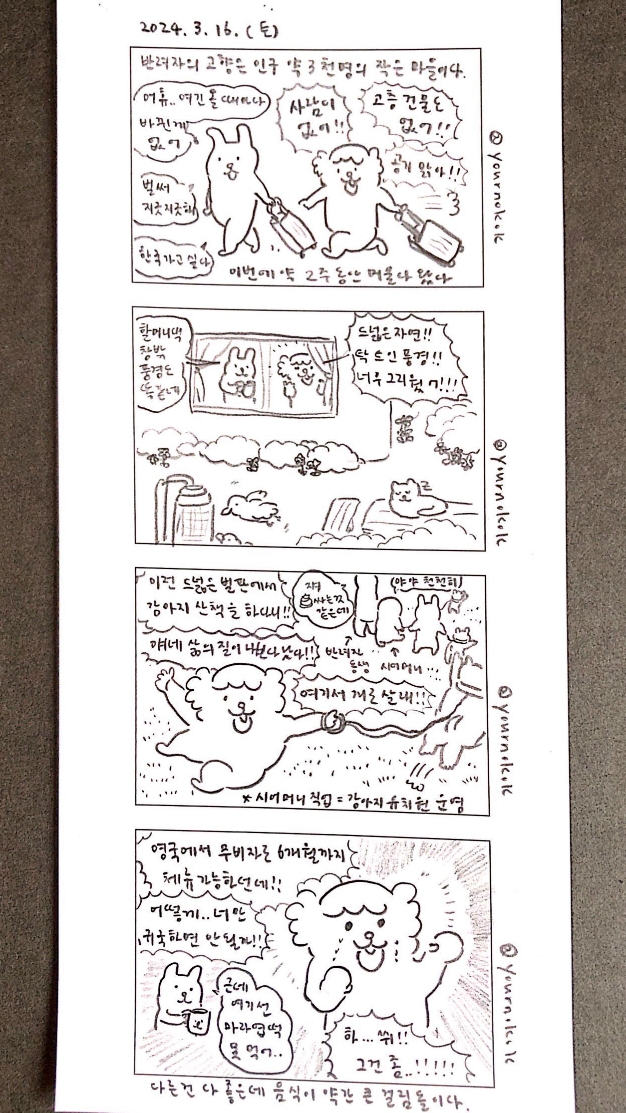 bd66d2ff9a4ae.jpg
