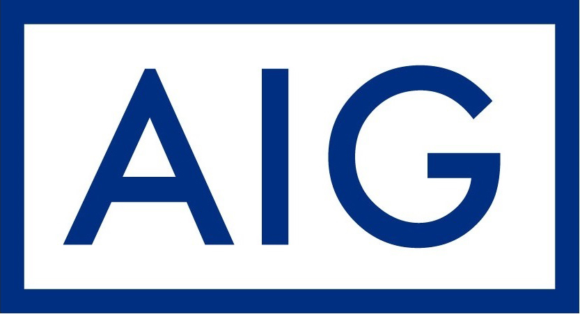 AIG손해