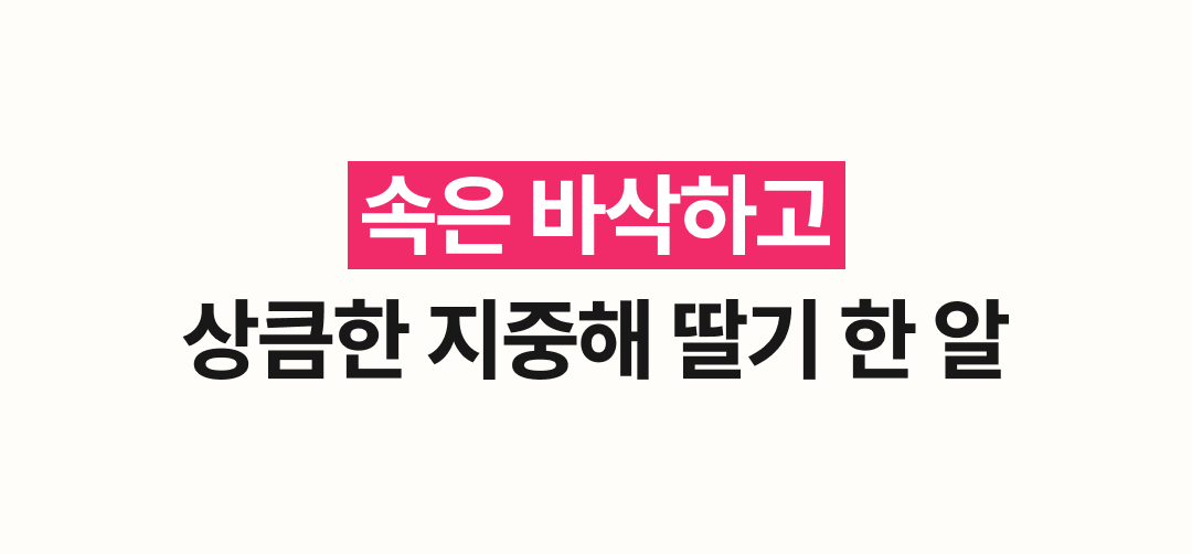 [추석한정] 드라제 4종 선물세트(동결건조 딸기 드라제, 글레이즈드 오렌지 슬라이스)