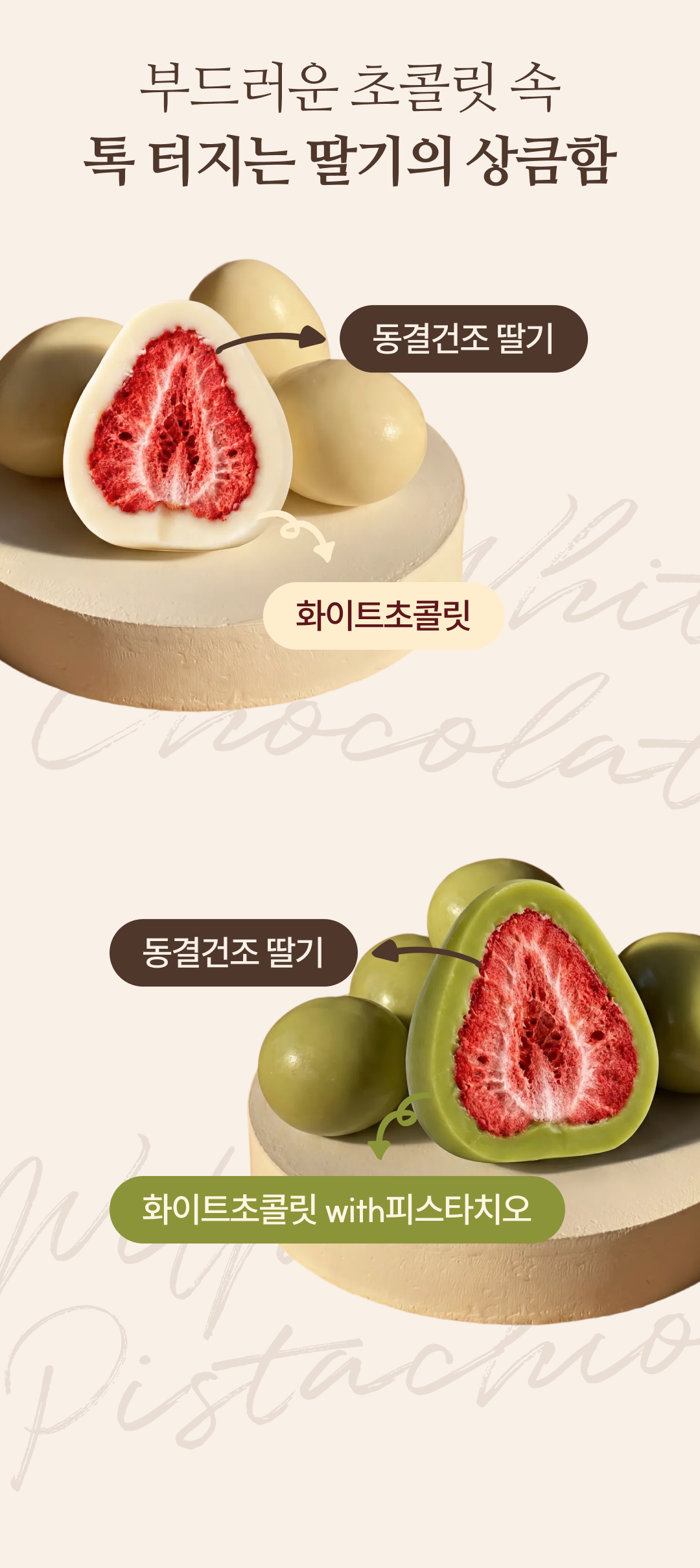 [추석한정] 드라제 4종 선물세트(동결건조 딸기 드라제, 글레이즈드 오렌지 슬라이스)
