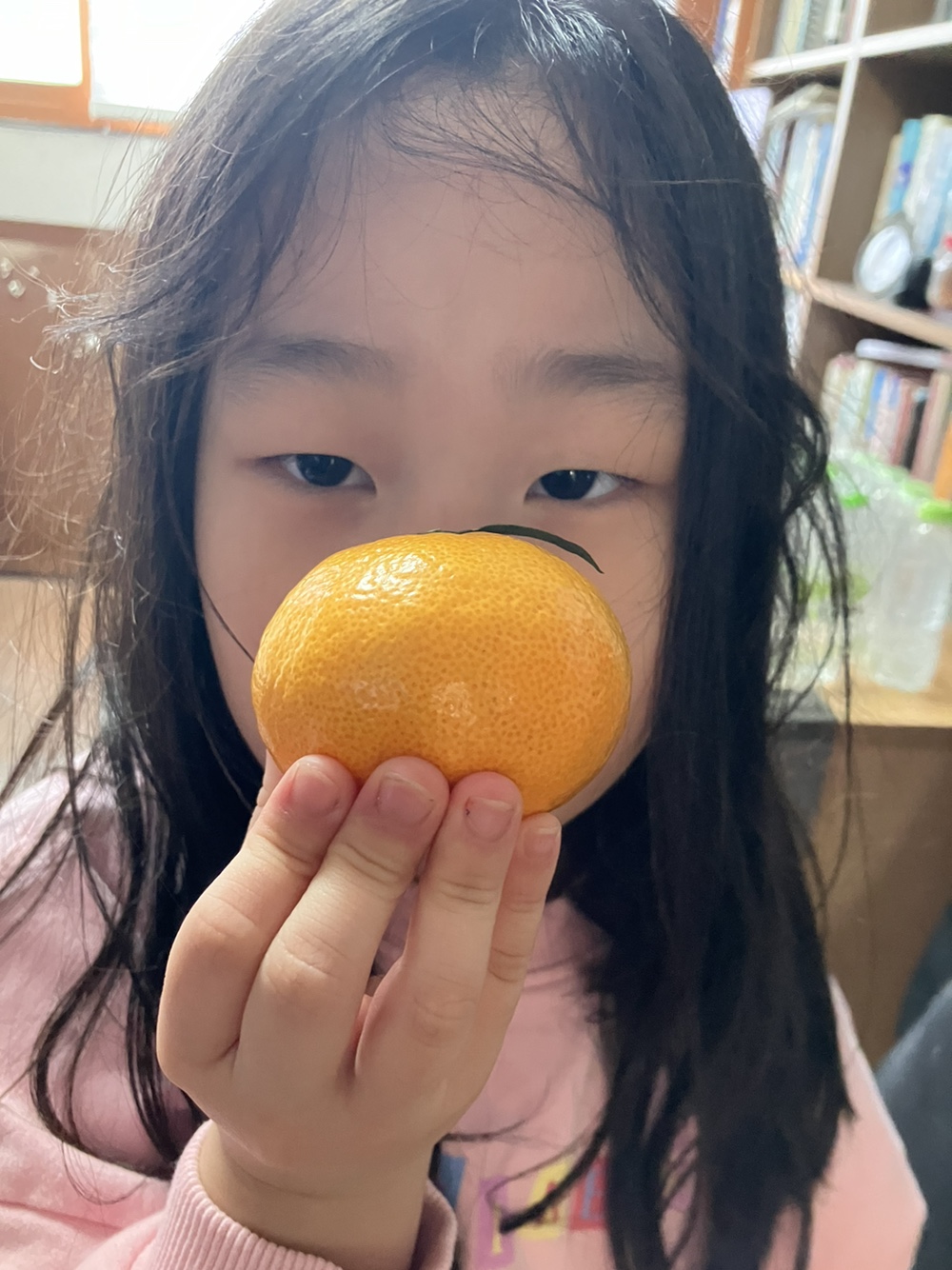 e85a2588f5e52.jpg
