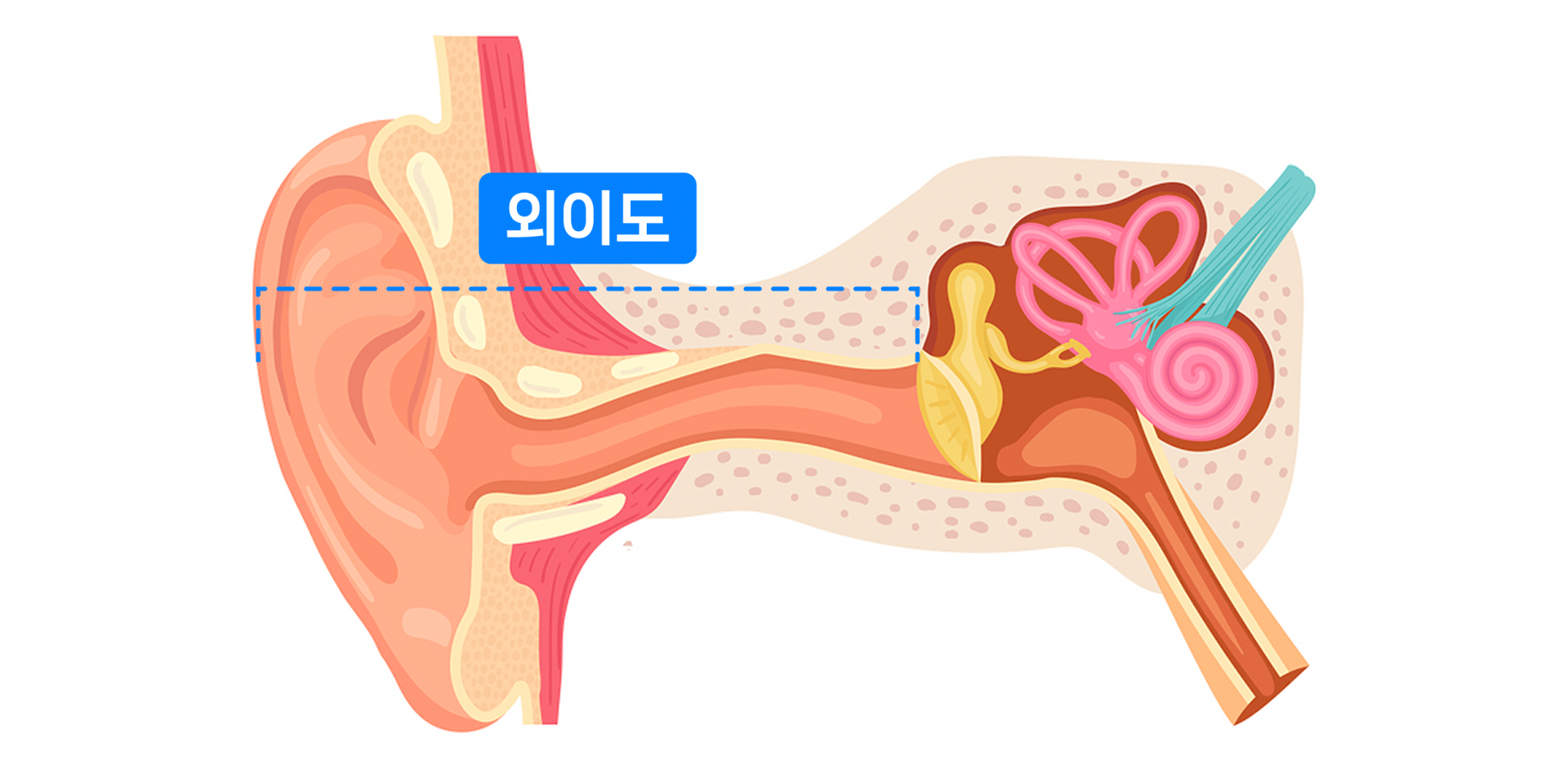 b7d821f4059b4.png