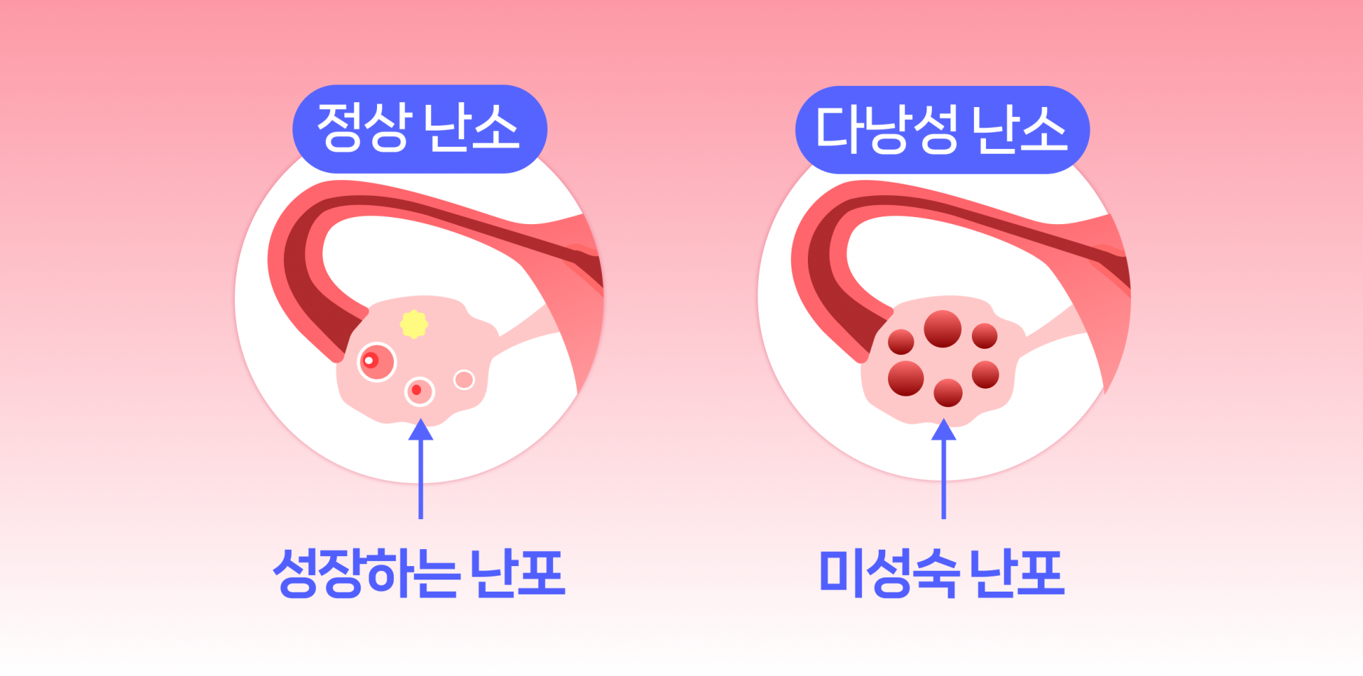 c6c6806c20f63.png