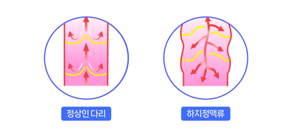 e93b308273dd0.png