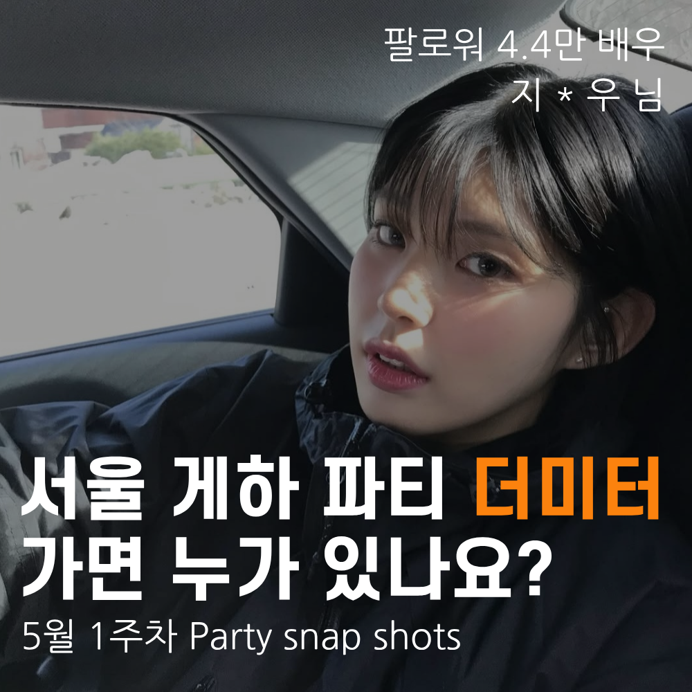 서울 게스트하우스 파티 더미터 | 파티 후기 | 2030 파티 모임