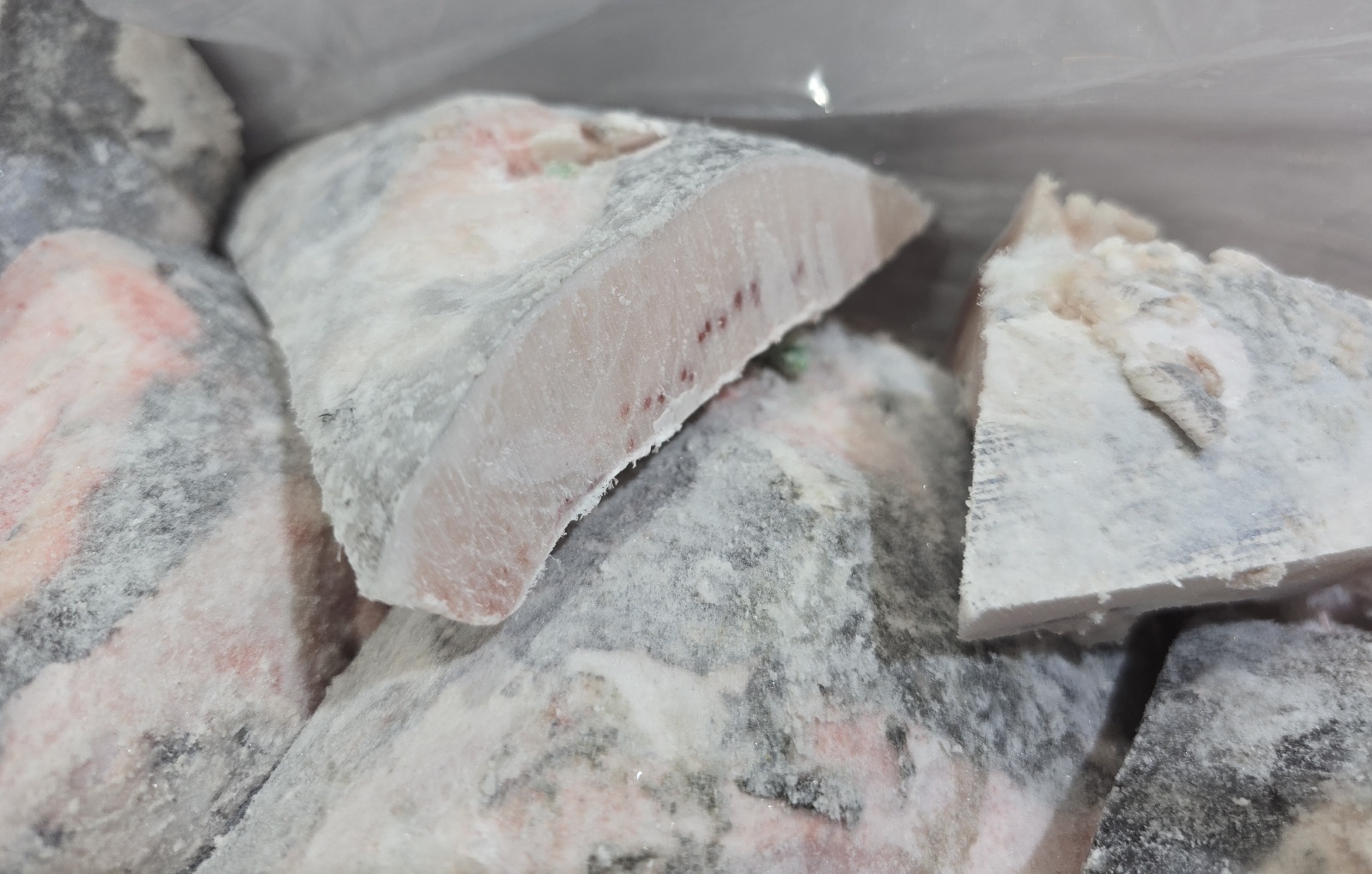 술먹는참치, 캠핑음식, 메까가마구이, 업소용냉동참치, 참치구이, 참치몰, 냉동참치판매, 참치회, 참치소량, 냉동참치유통, 참치몰, 황새치, image size:1600x1019