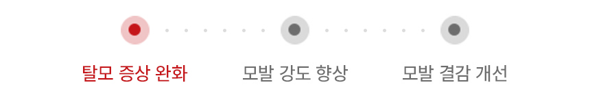 [Only 헤어디자이너] 1L 단품 10개