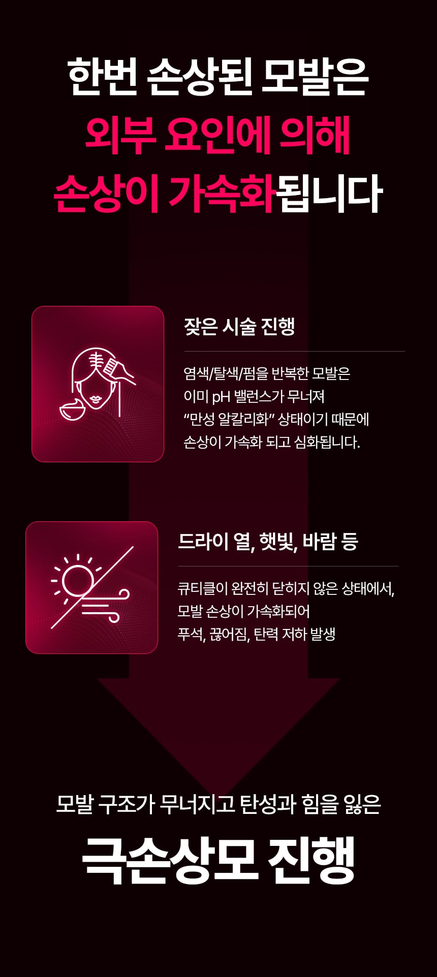 [Only 헤어디자이너] 핑크고트 + 글로우고트 6개 세트