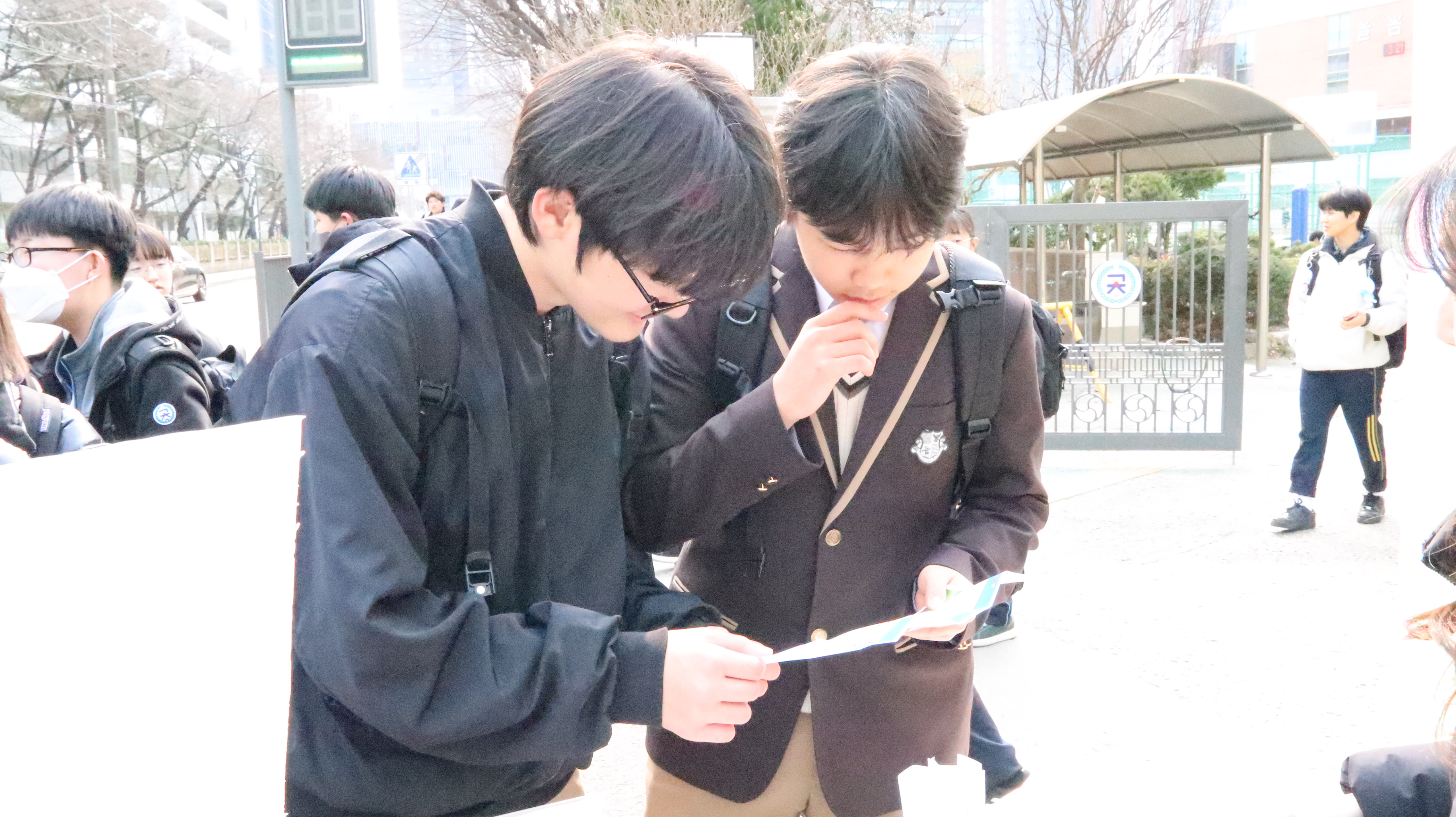 f0eda5139a330.jpg