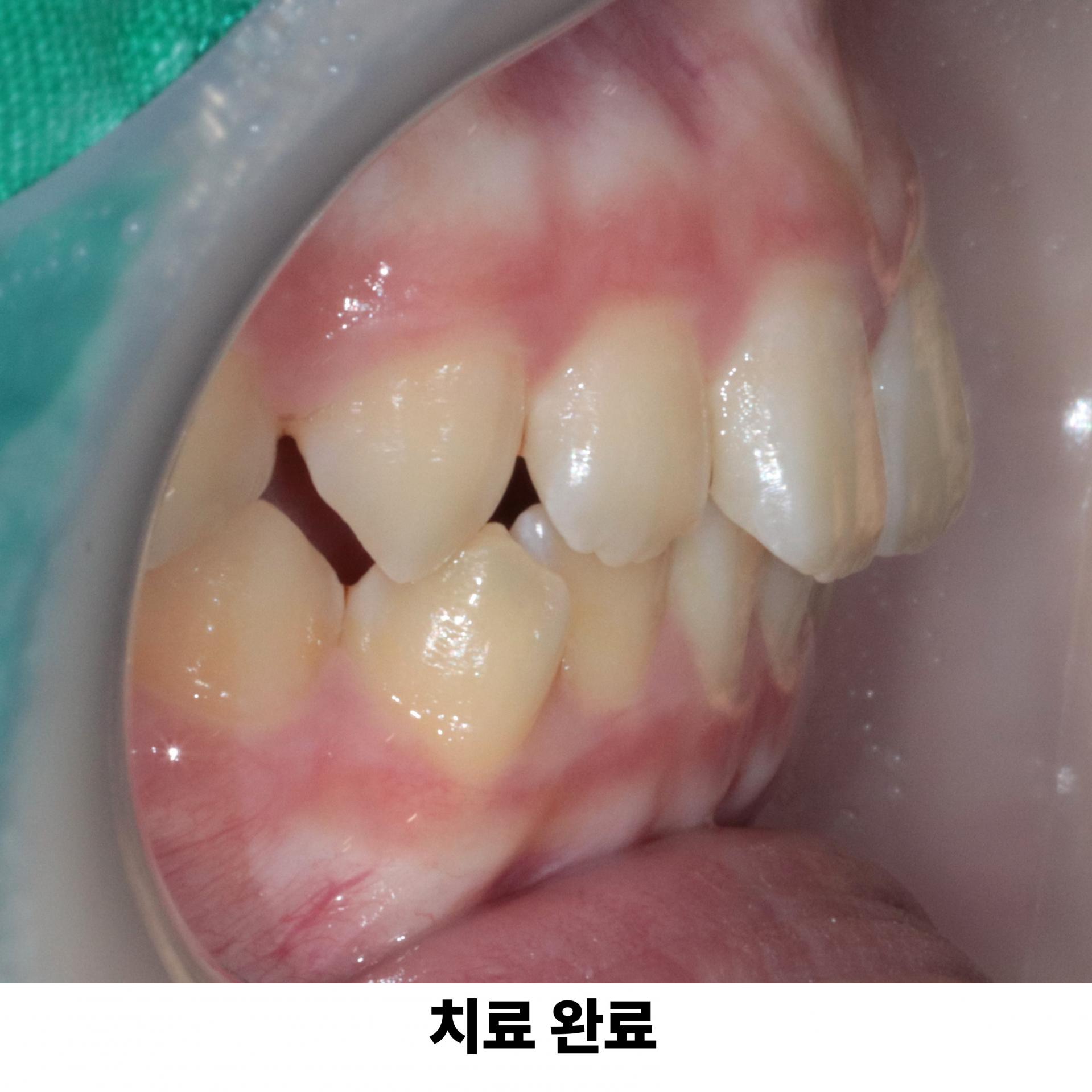 08b17fe61e719.jpg