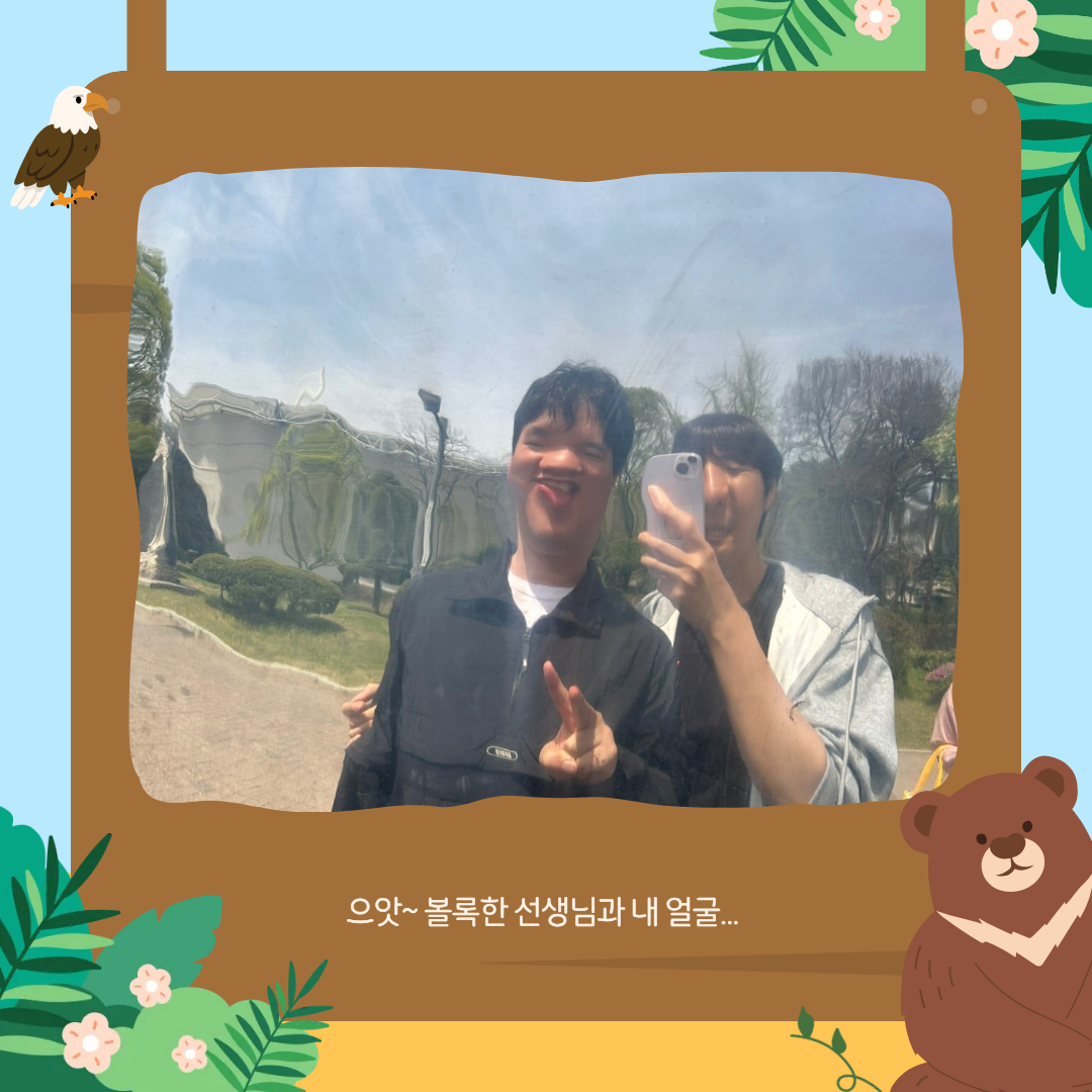 056d8cb8647ed.png