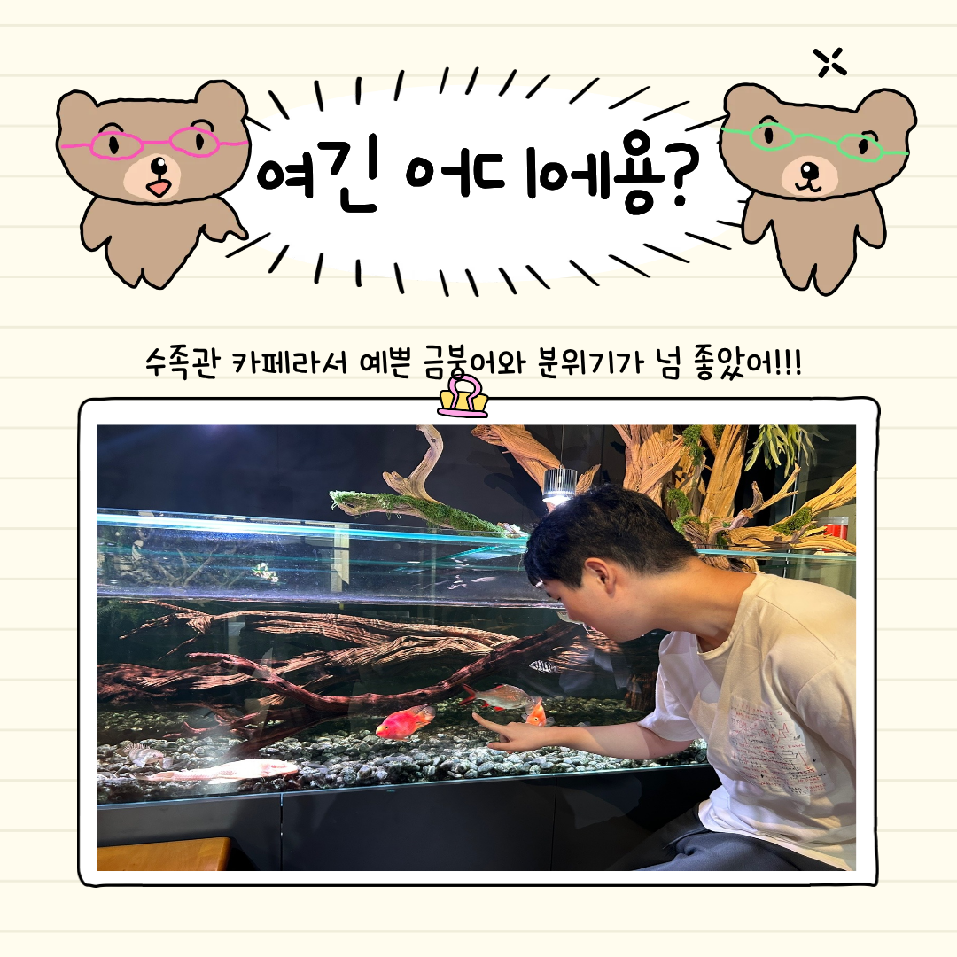 226295d3aed74.png