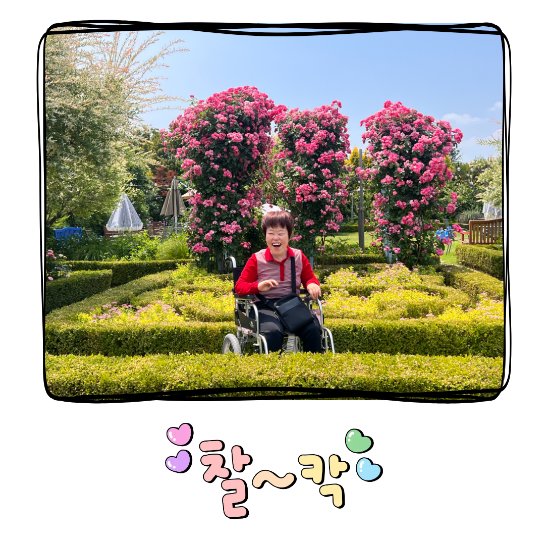 32b21114fa61c.png