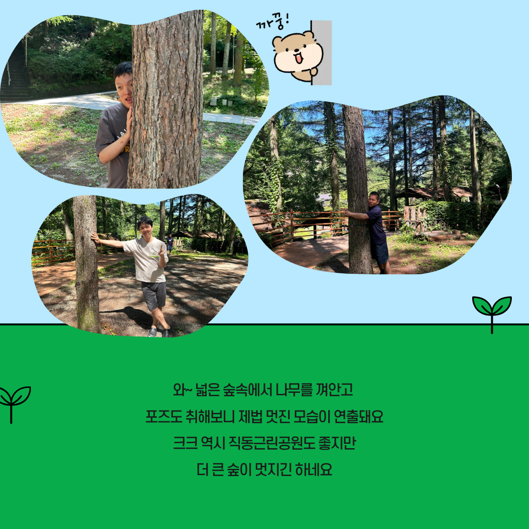 35ac36516ca17.png