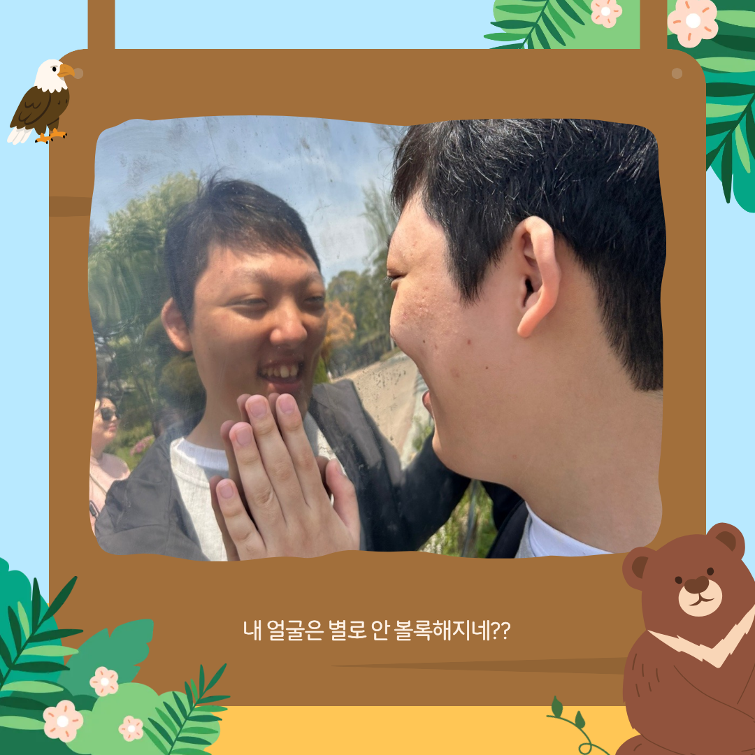 5208c9f6df796.png
