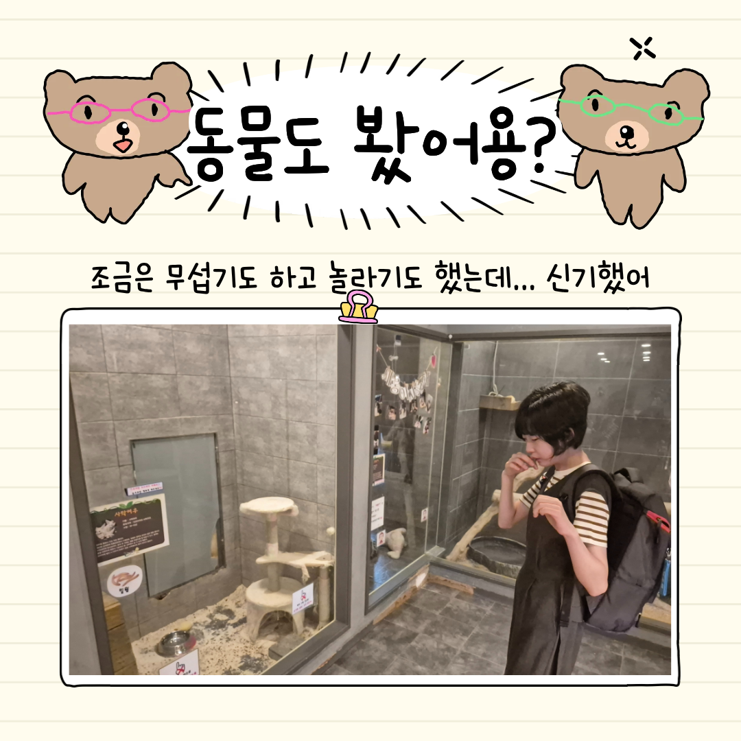 935d9b8f58fa0.png