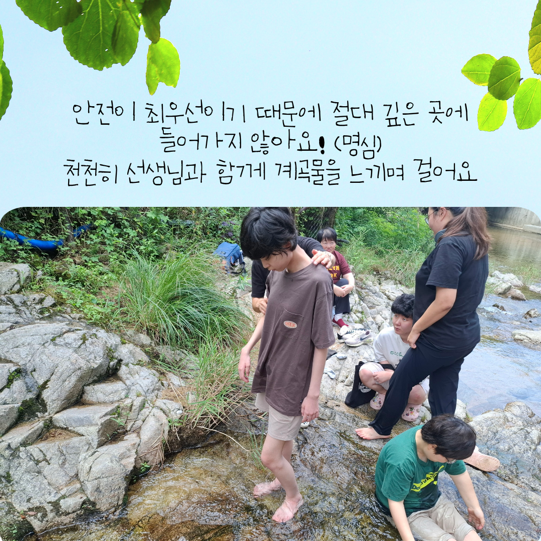 d988e7e317a31.png
