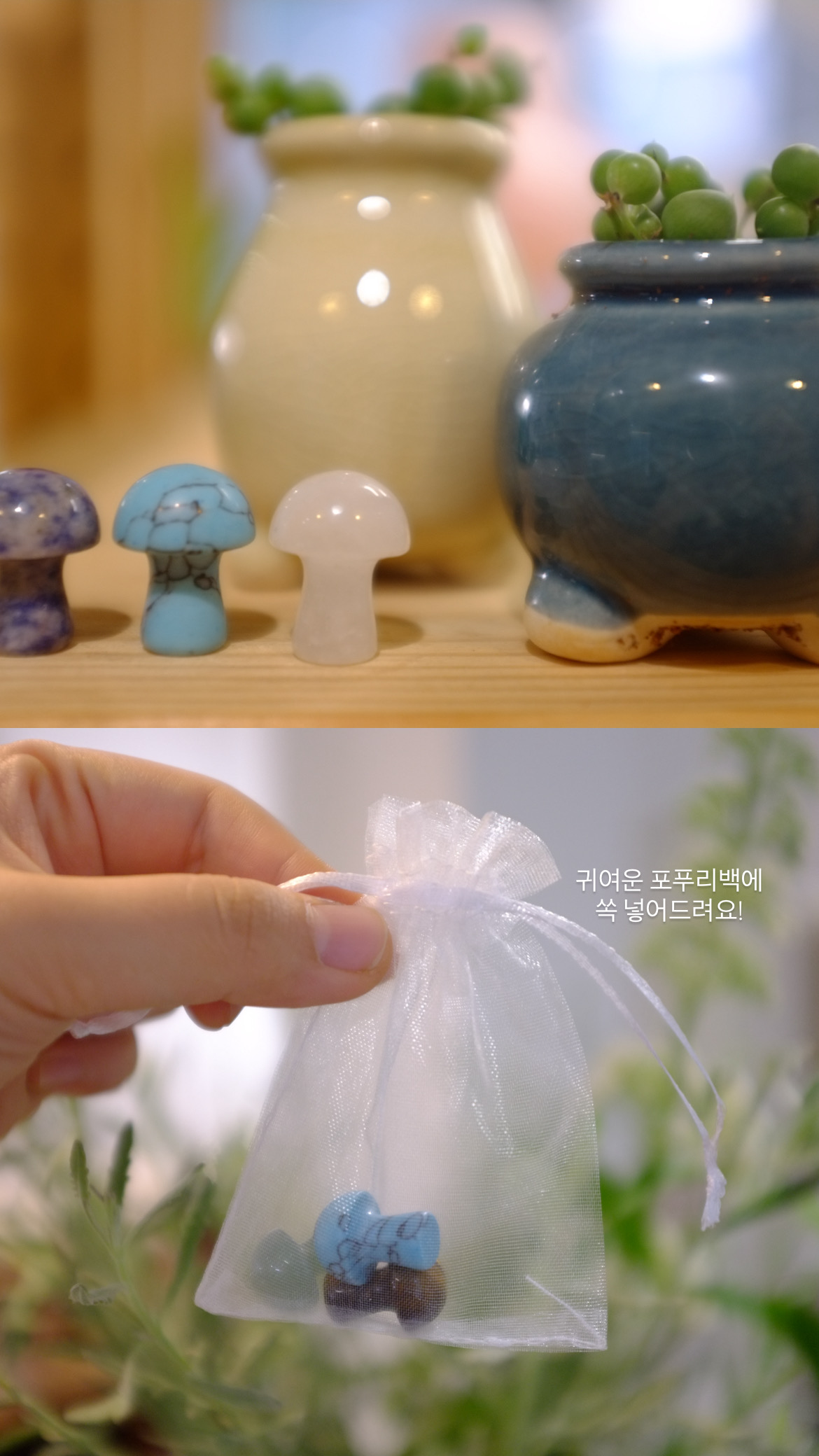 원석버섯