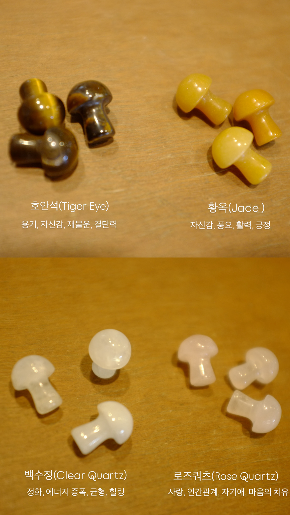 원석버섯