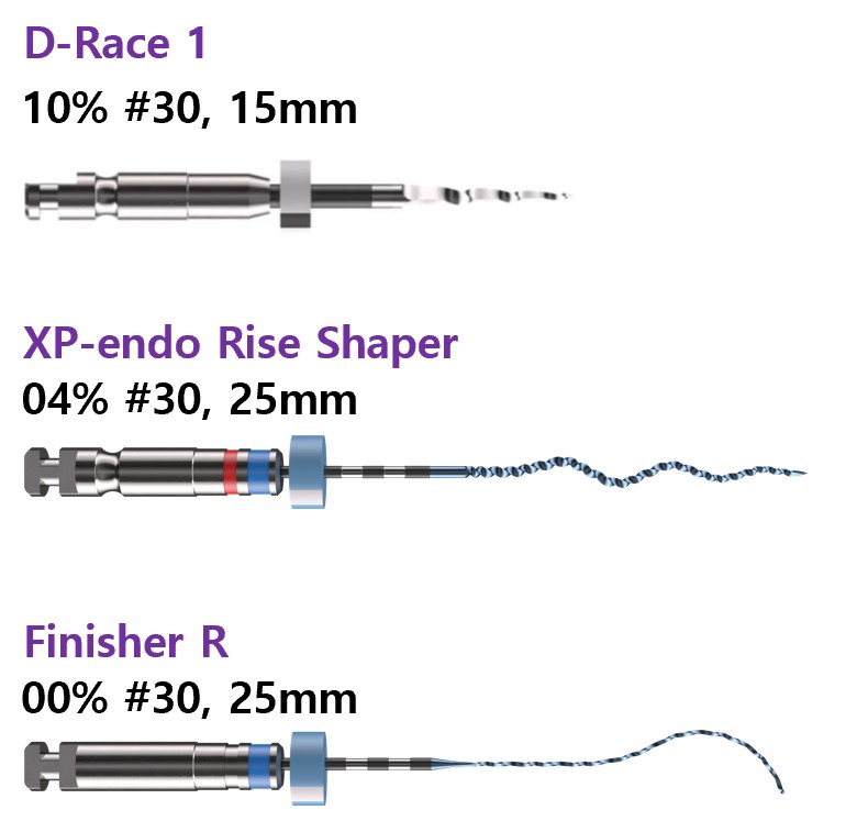 Xp Endo Rise XP-endo Rise Retreatment (Clinical Test Kit) : 마이크로닉_FKG & Labomed