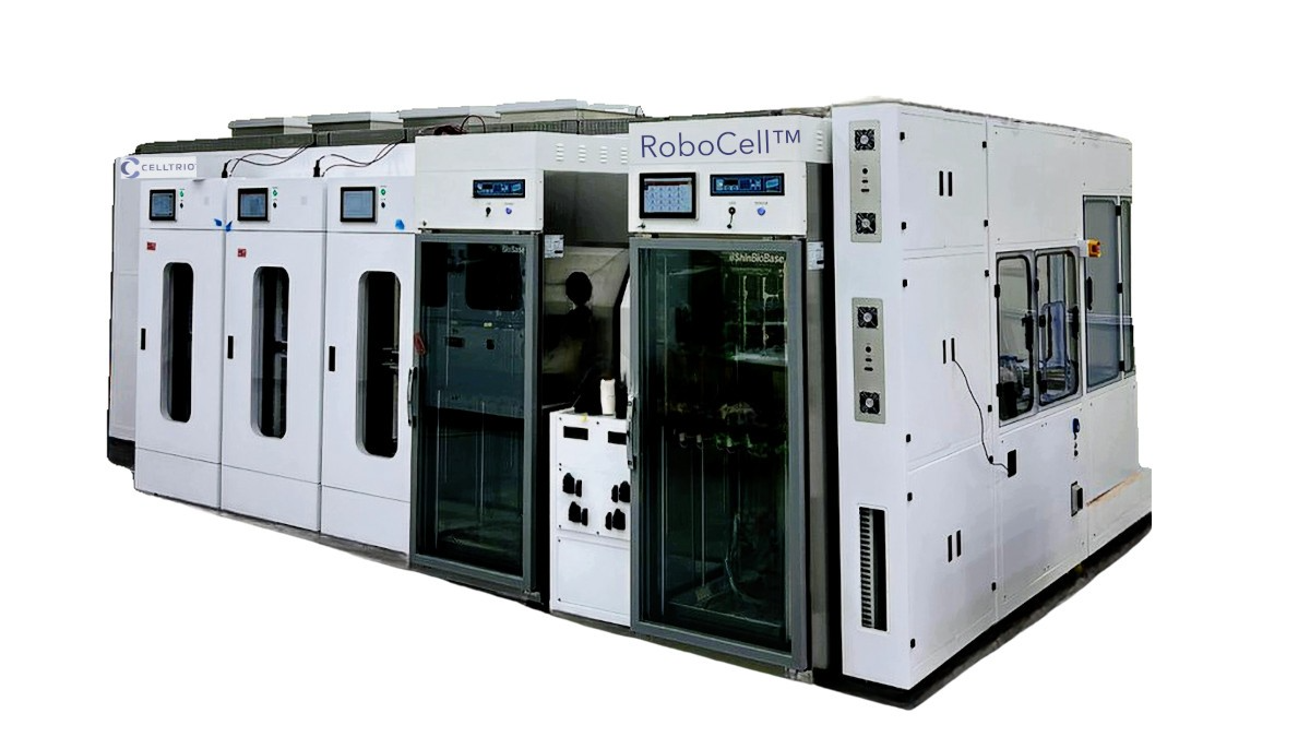 No alt text provided for this image