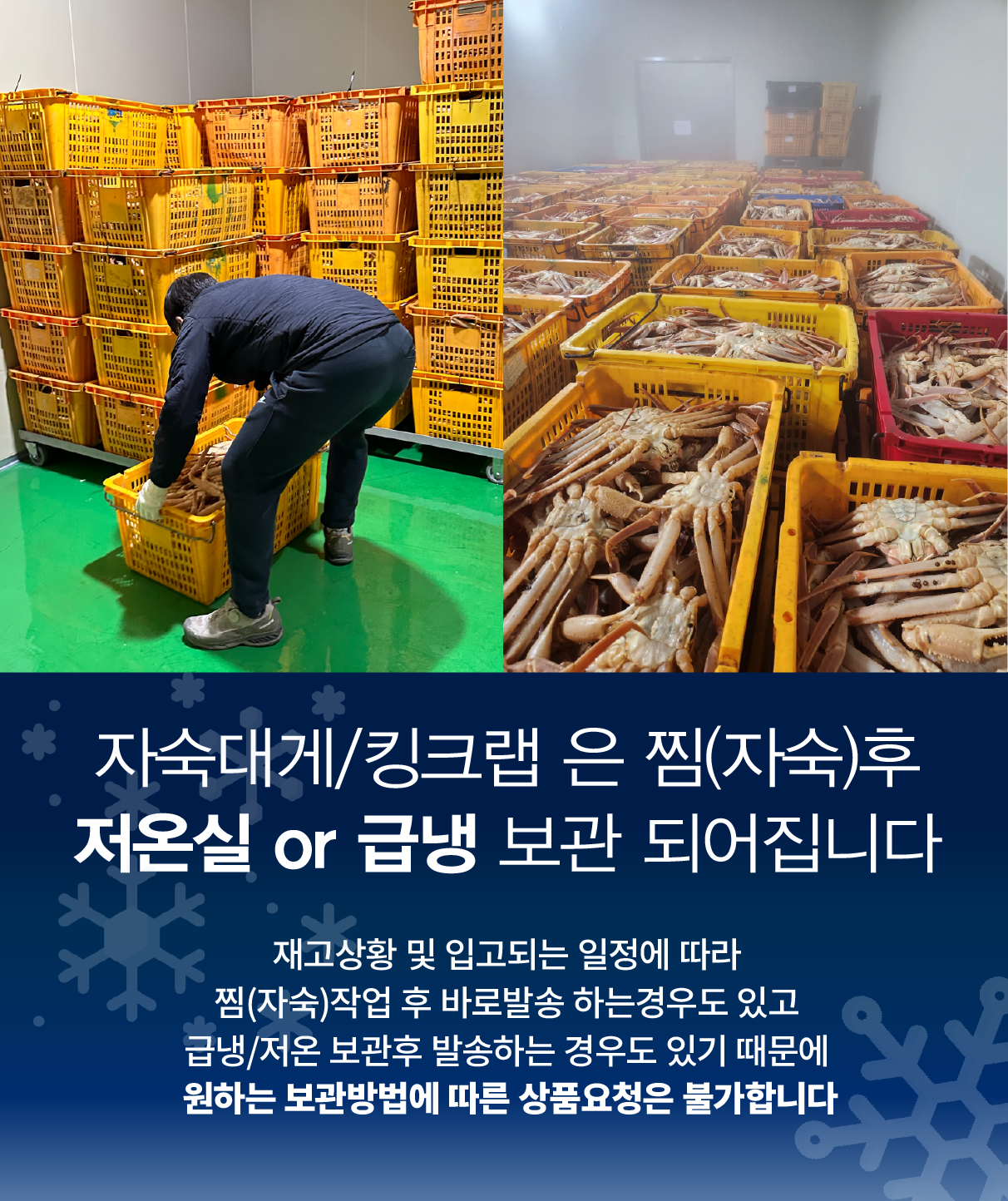 러시아대게 게딱지 몸통대게 3개 (자숙)