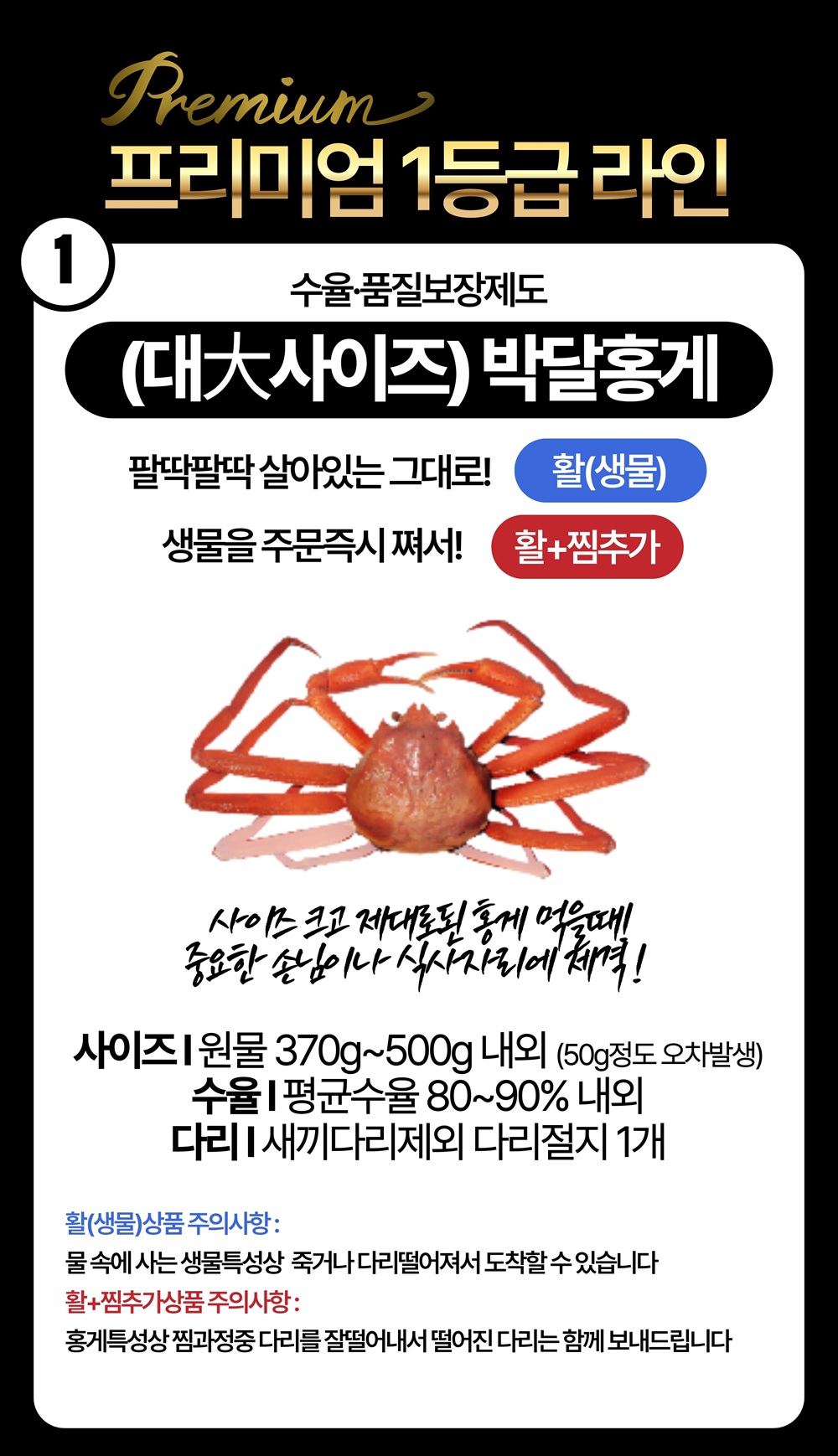 선주직송 독도 박달홍게 1kg (활/자숙 선택)