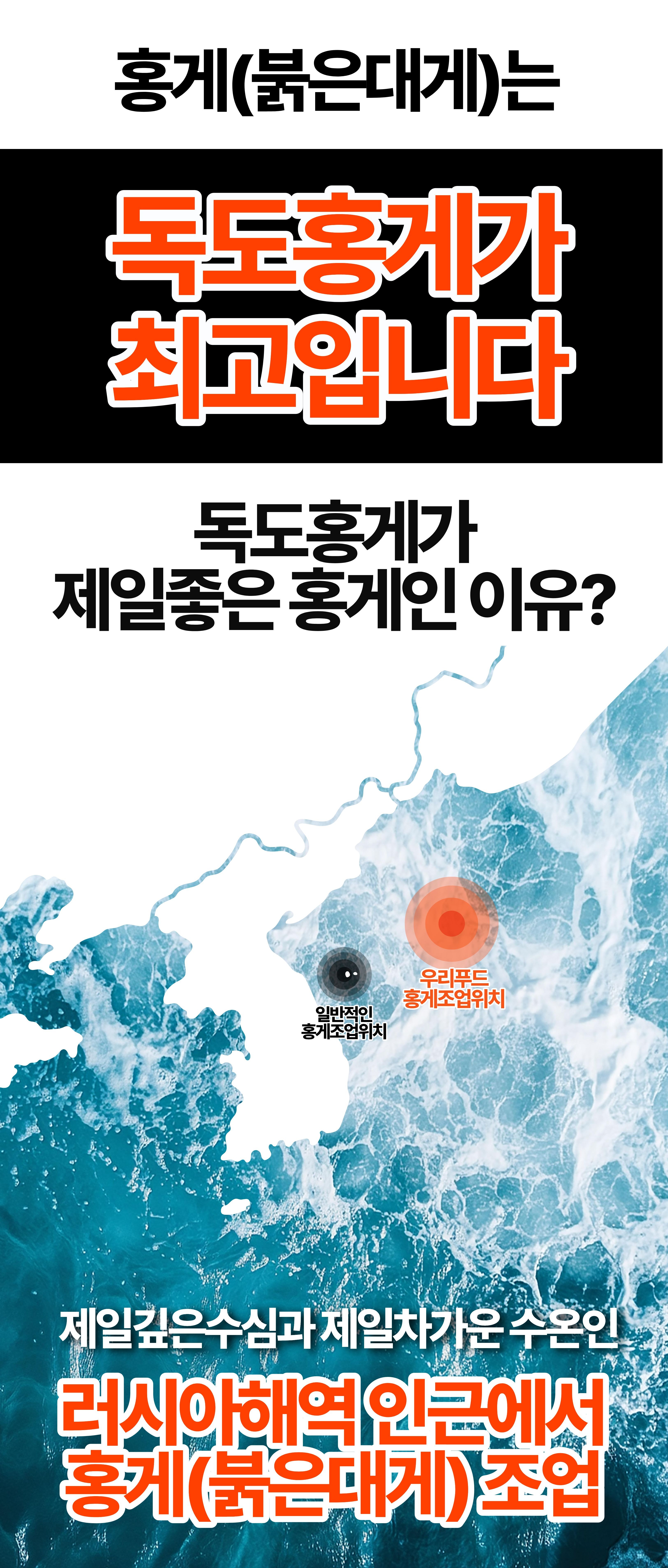 선주직송 독도 박달홍게 1kg (활/자숙 선택)