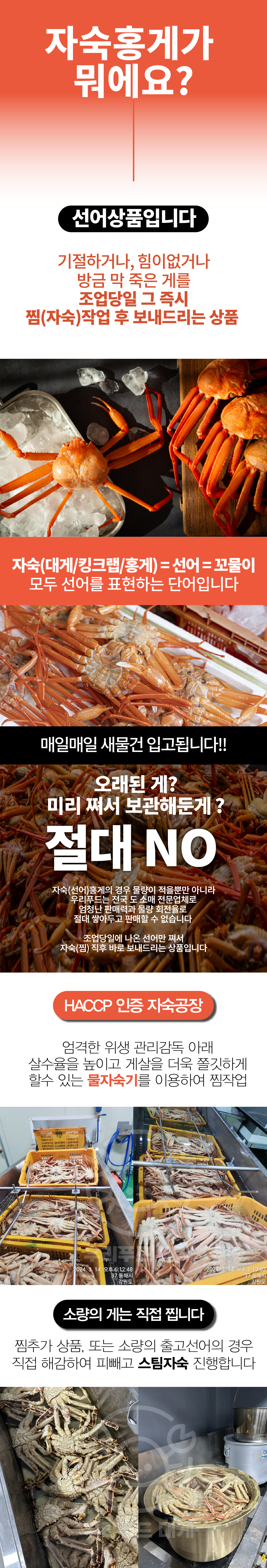선주직송 독도 박달홍게 1kg (활/자숙 선택)