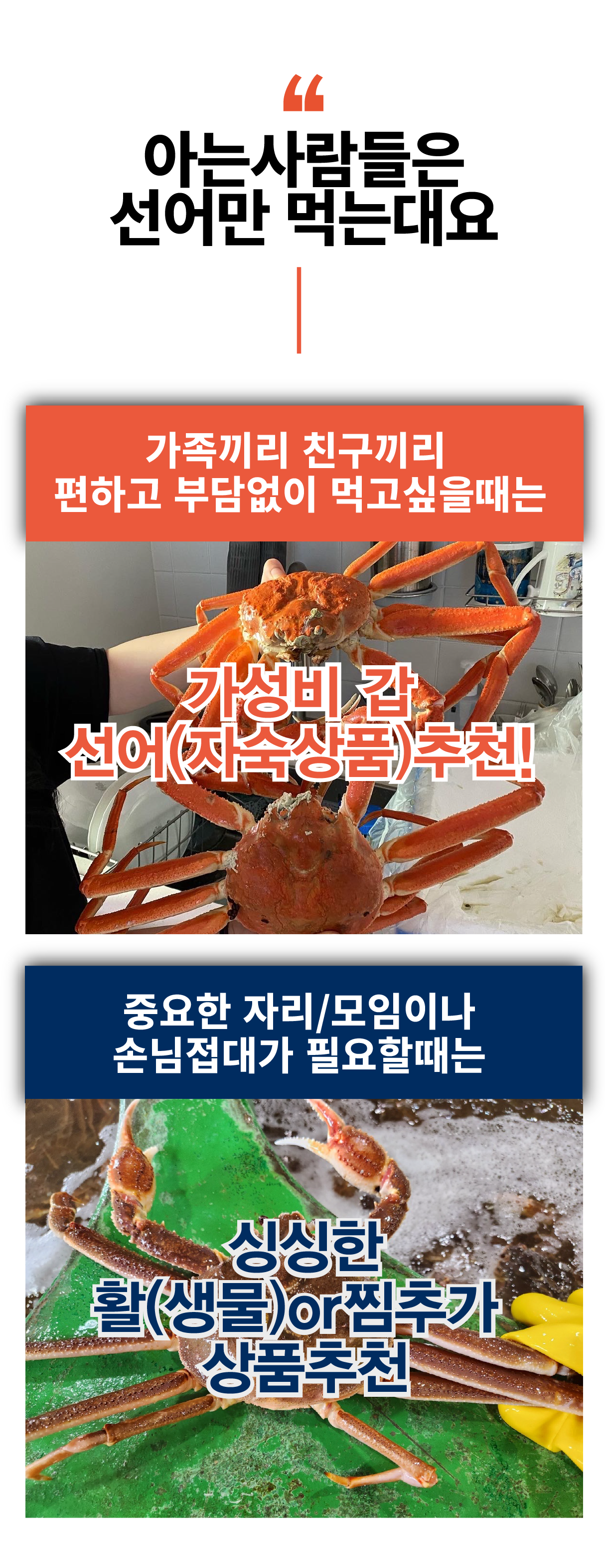 선주직송 독도 박달홍게 1kg (활/자숙 선택)