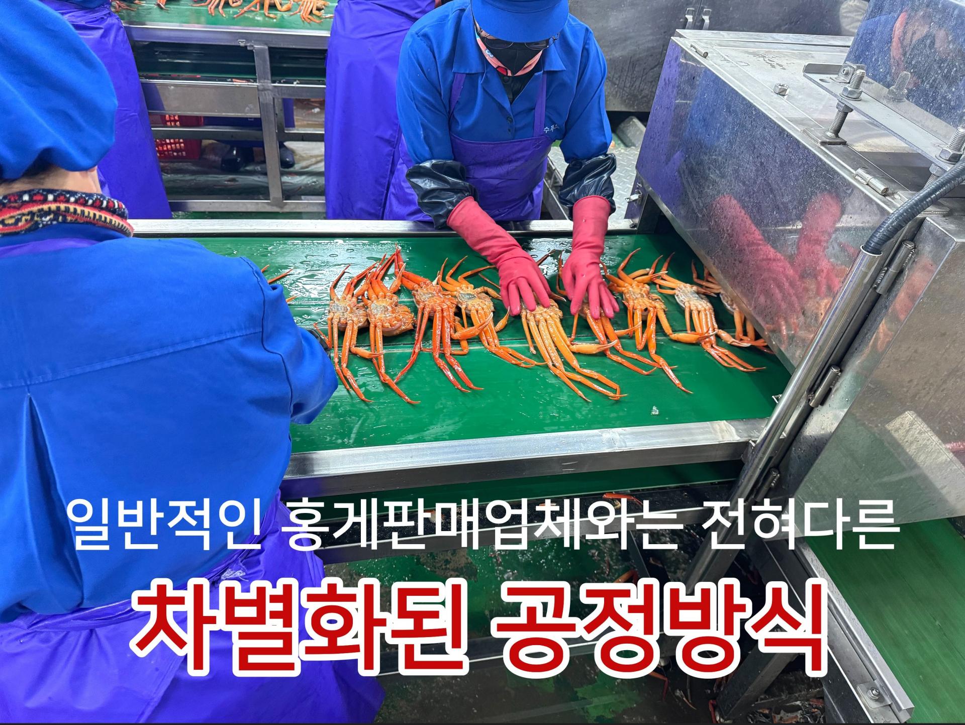 해각포 홍게다리살 붉은대게살 순살 50g 1봉