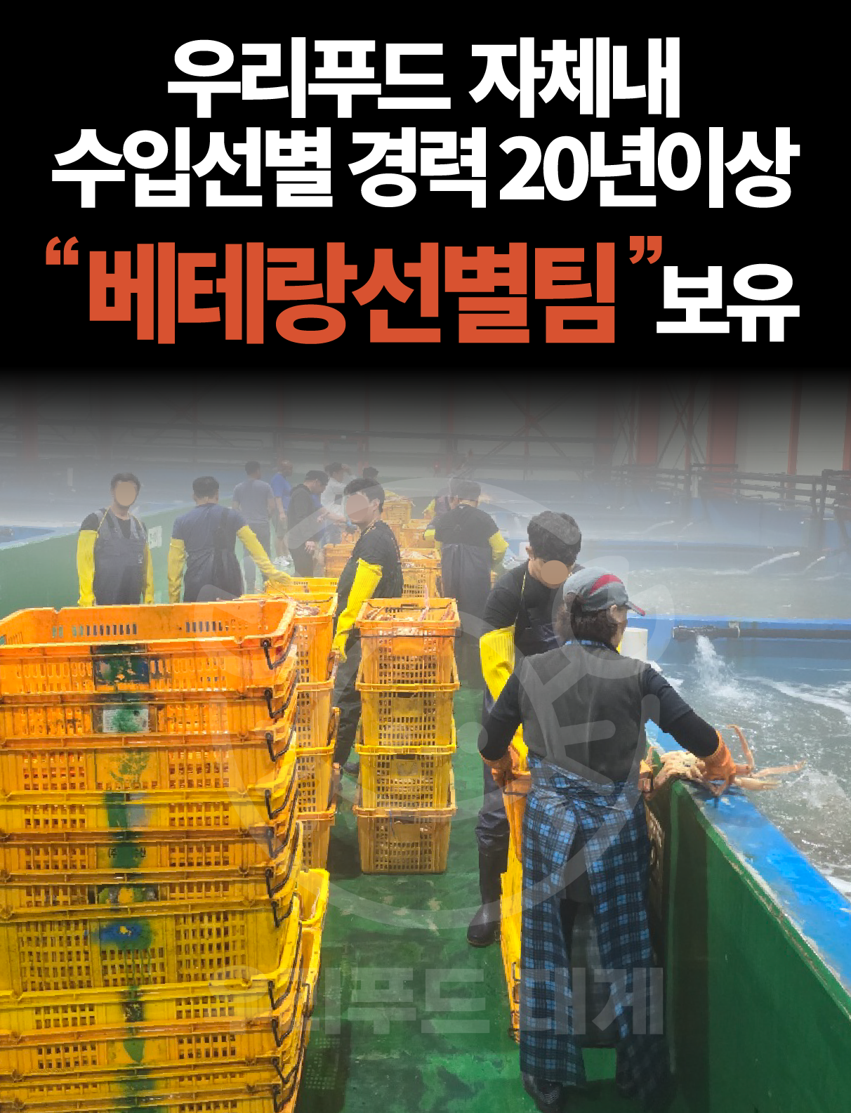 러시아대게 게딱지 몸통대게 3개 (자숙)
