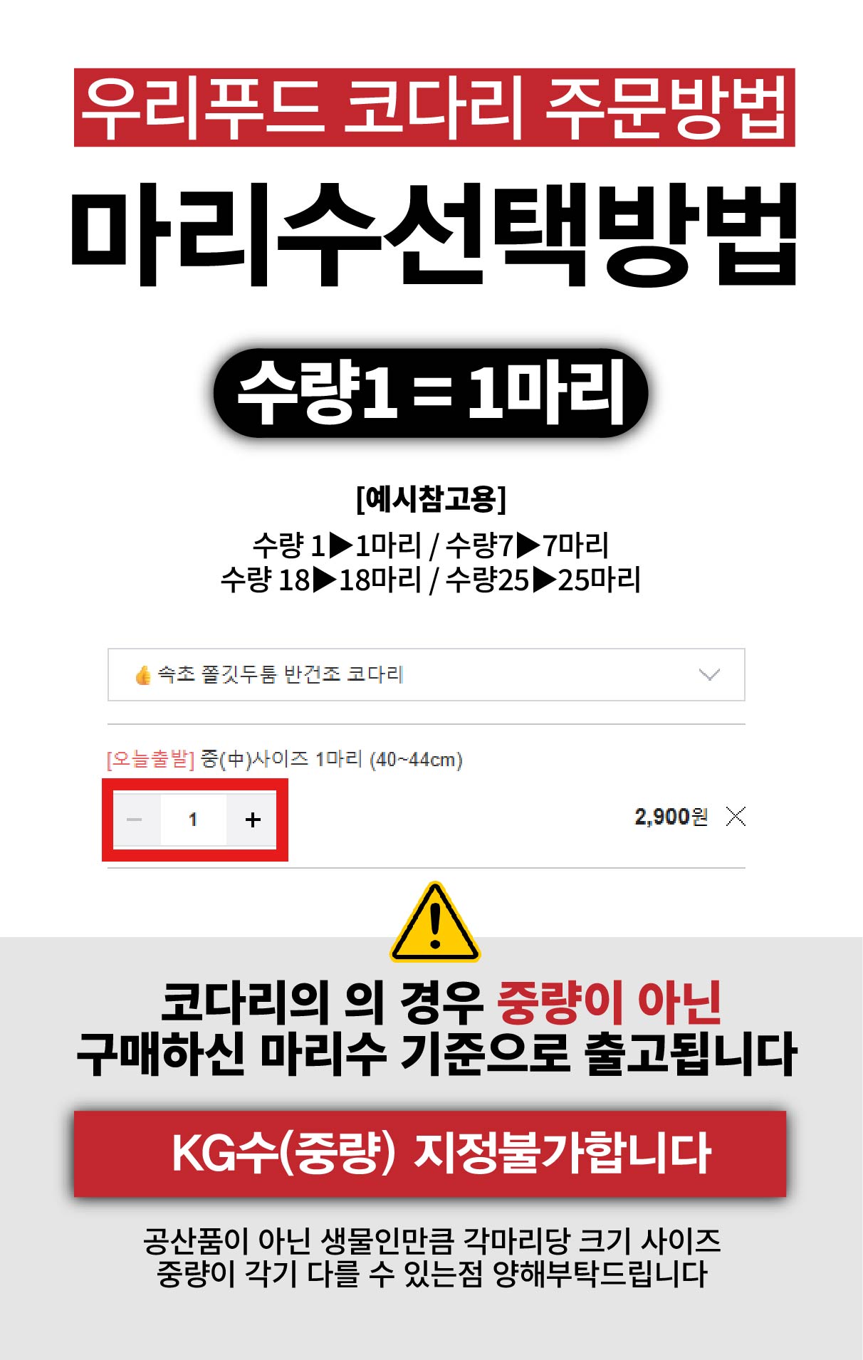 두툼하고 쫄깃한 속초 반건조 손질 코다리 명태 1마리