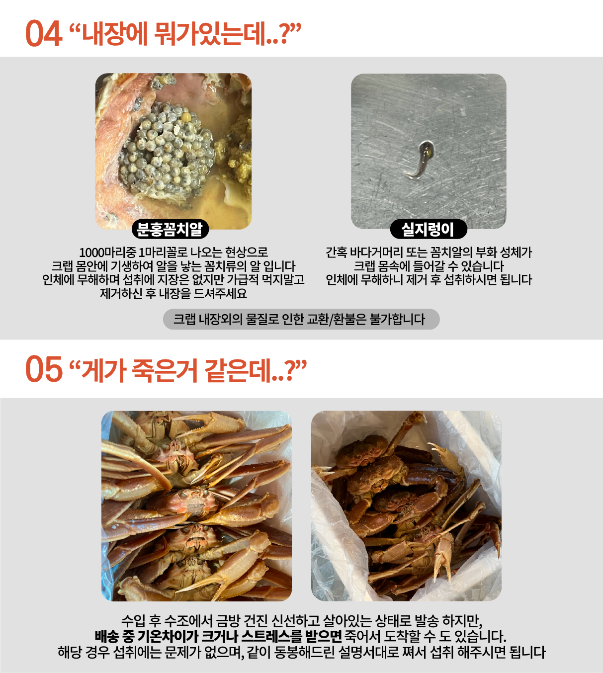 특A급 북해도 프리미엄 활 레드킹크랩 1마리 (암컷/수컷)