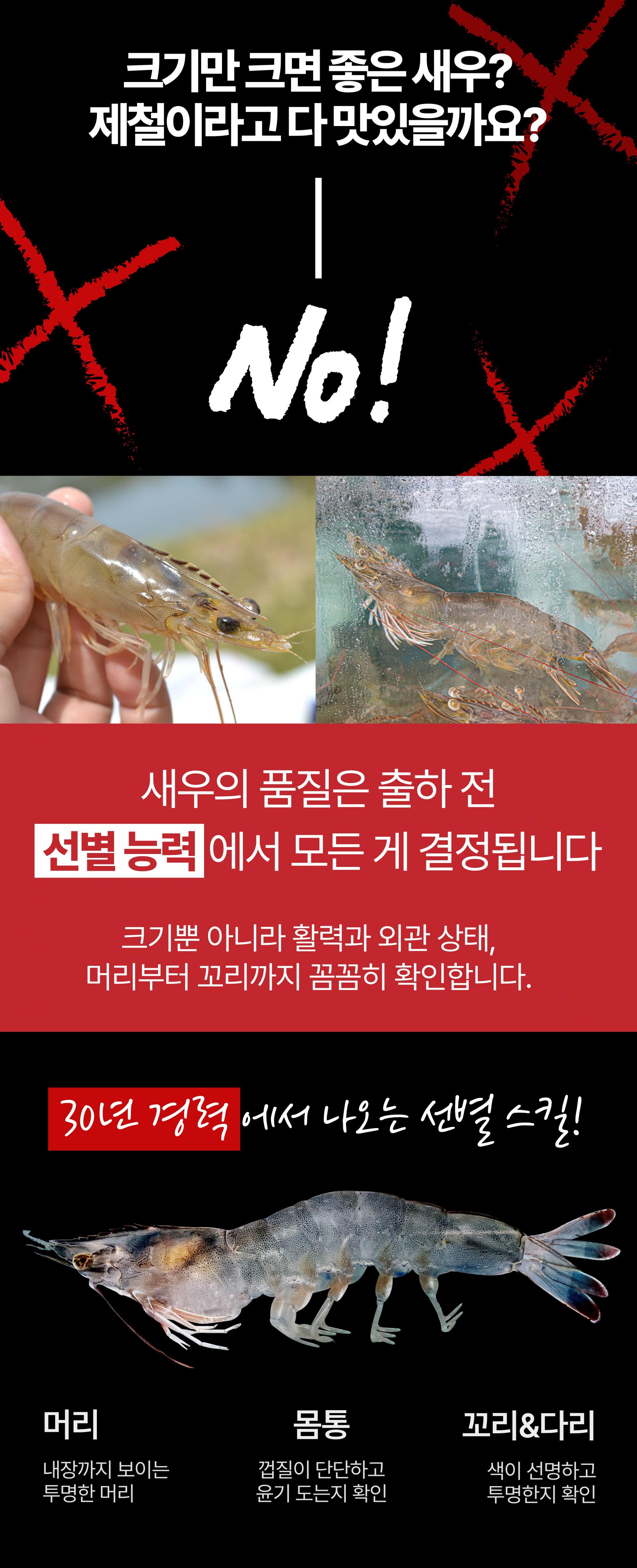 국산 제철 흰다리새우 생새우 활새우 왕새우 500g 1kg